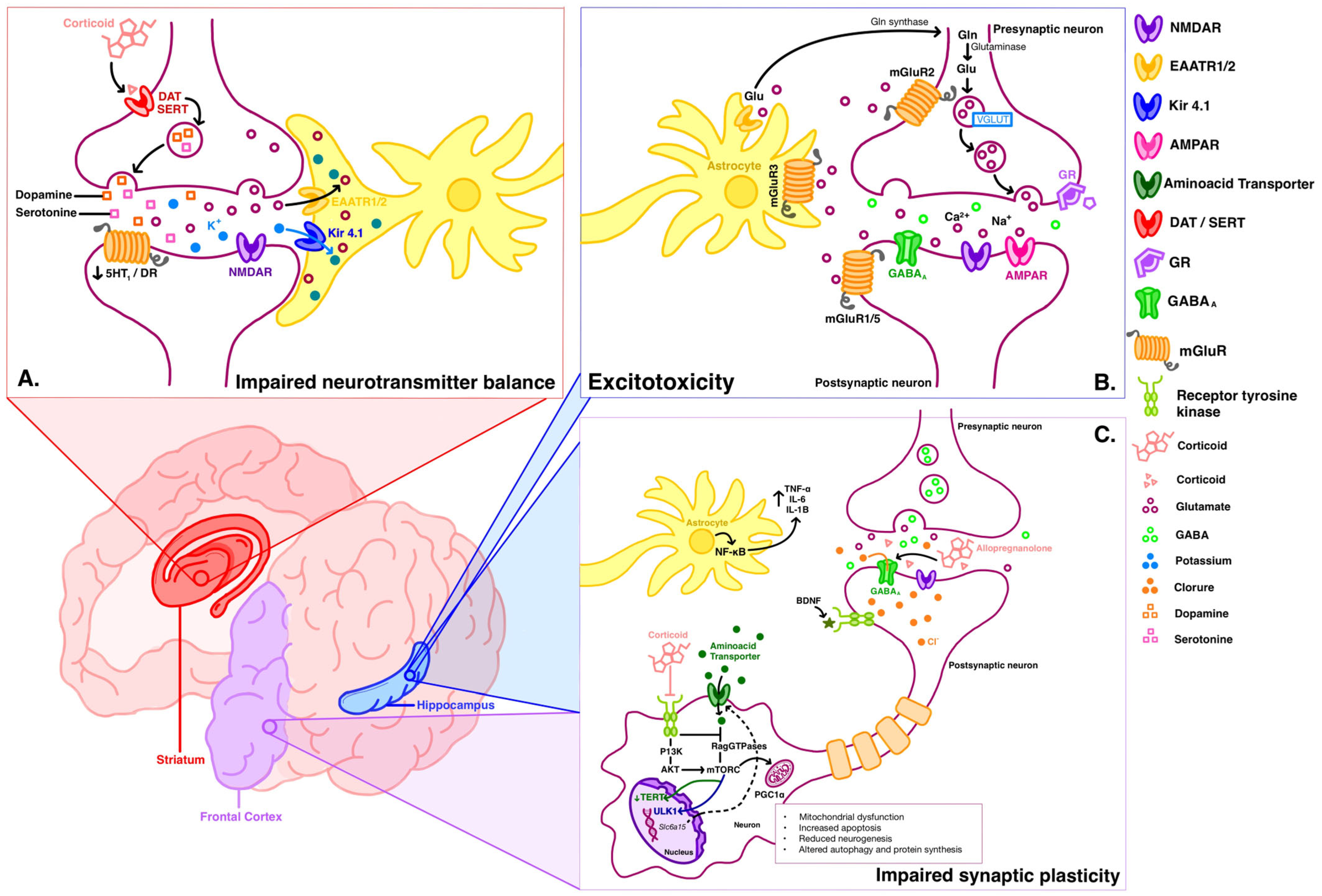 Biomedicines 12 02131 g001 Biomedicines 12 02131 g001
