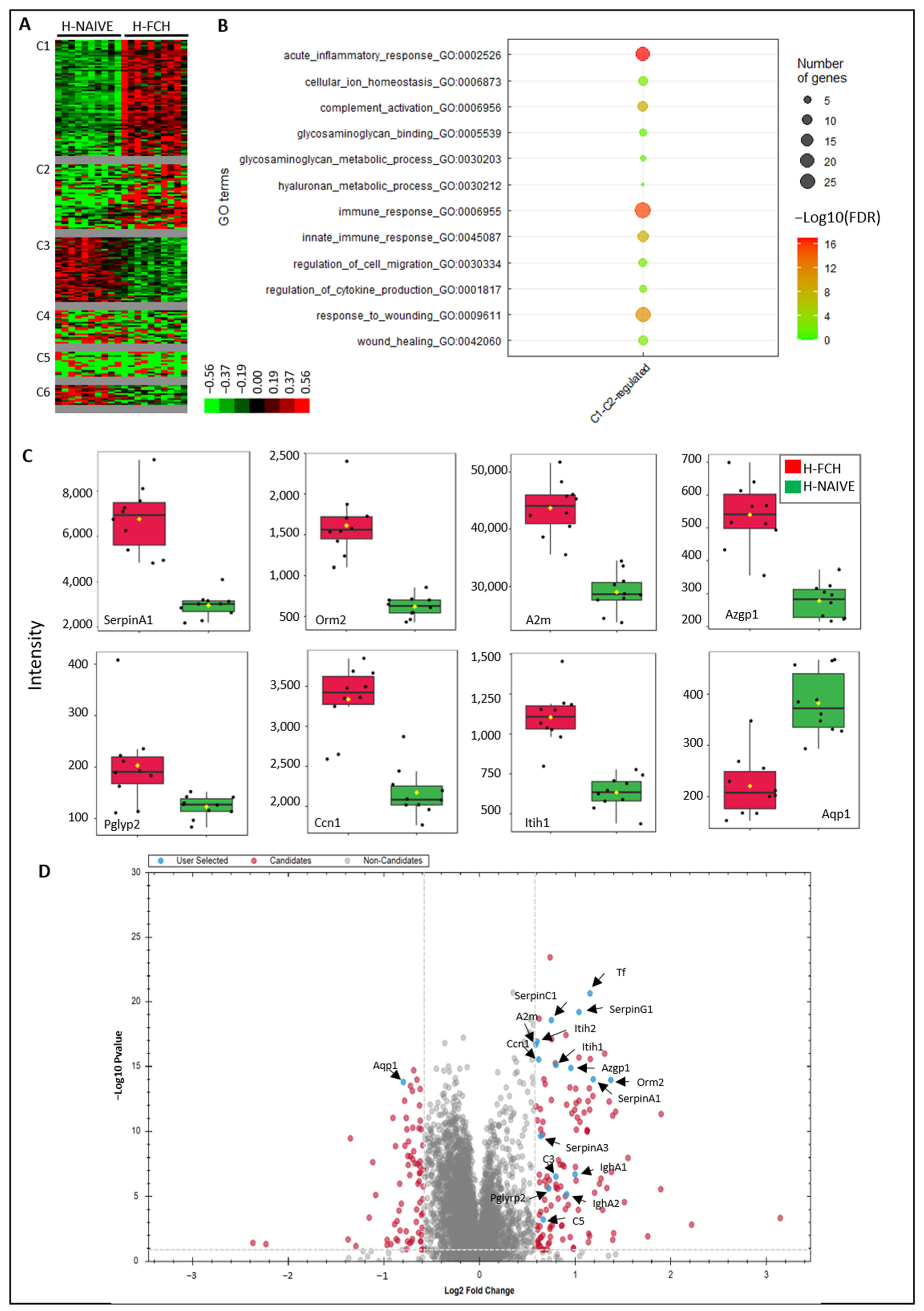 Biomedicines 12 02132 g004 Biomedicines 12 02132 g004