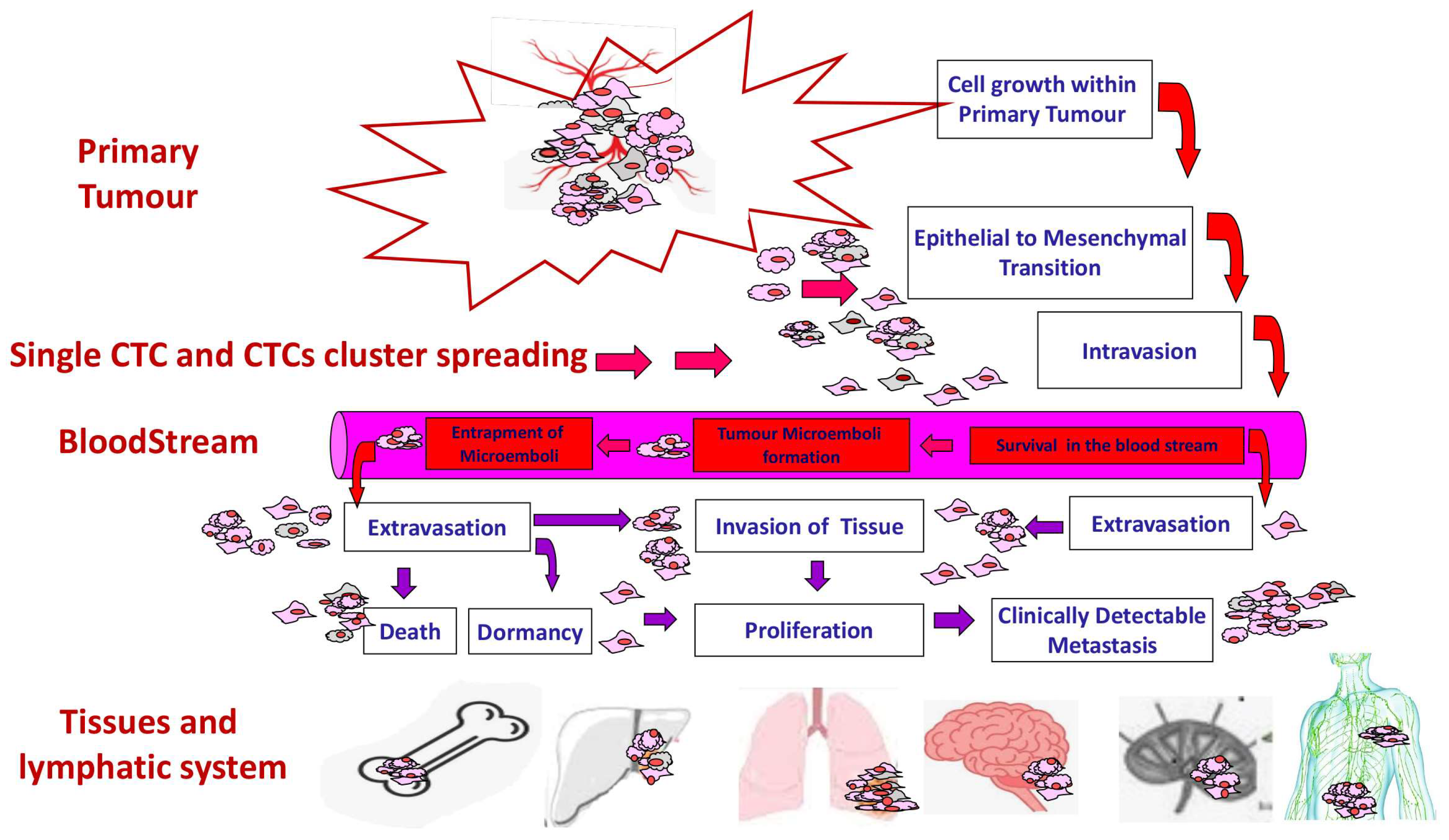 Biomedicines 12 02137 g001 Biomedicines 12 02137 g001