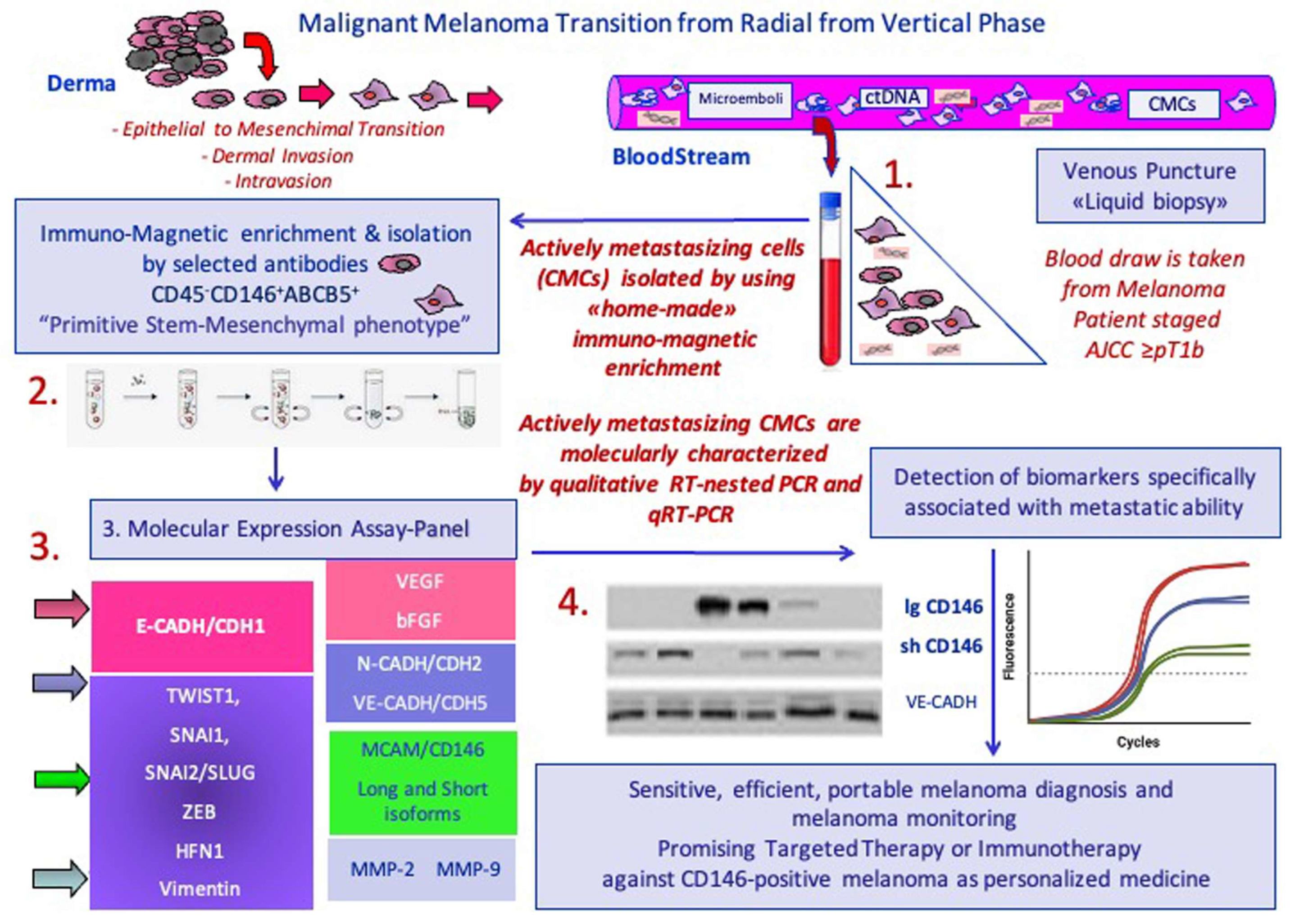 Biomedicines 12 02137 g002 Biomedicines 12 02137 g002
