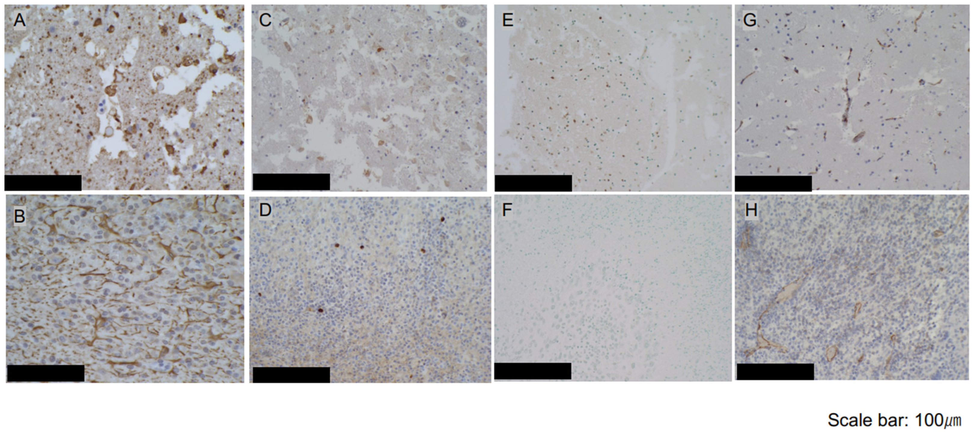 Biomedicines 12 02141 g003