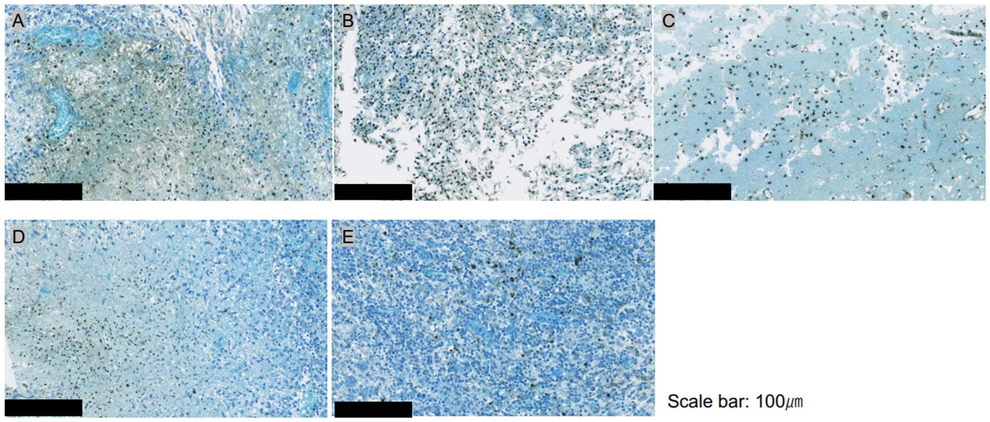 Biomedicines 12 02141 g004