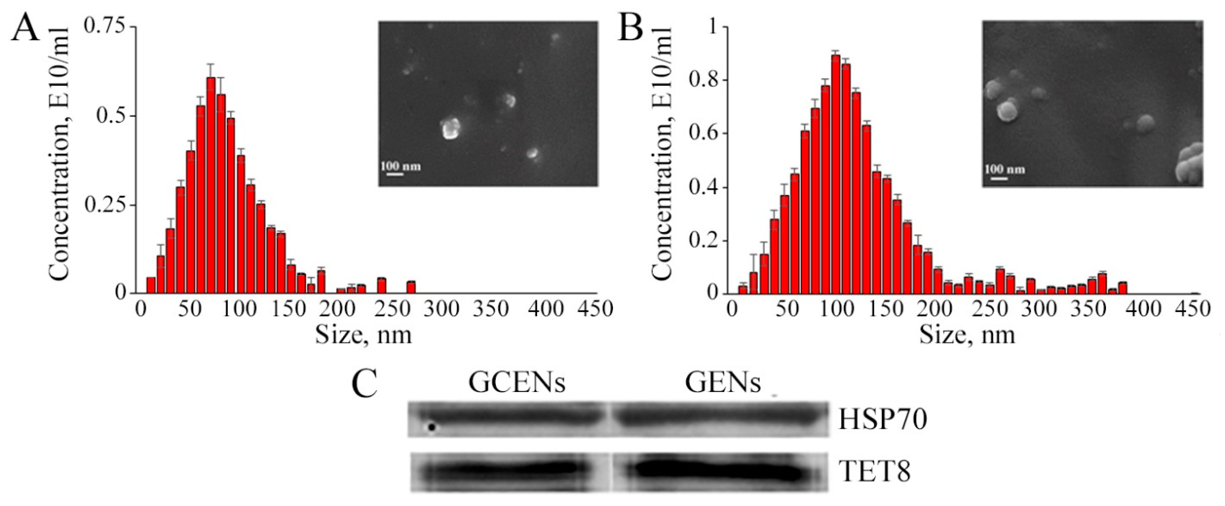 Biomedicines 12 02142 g001