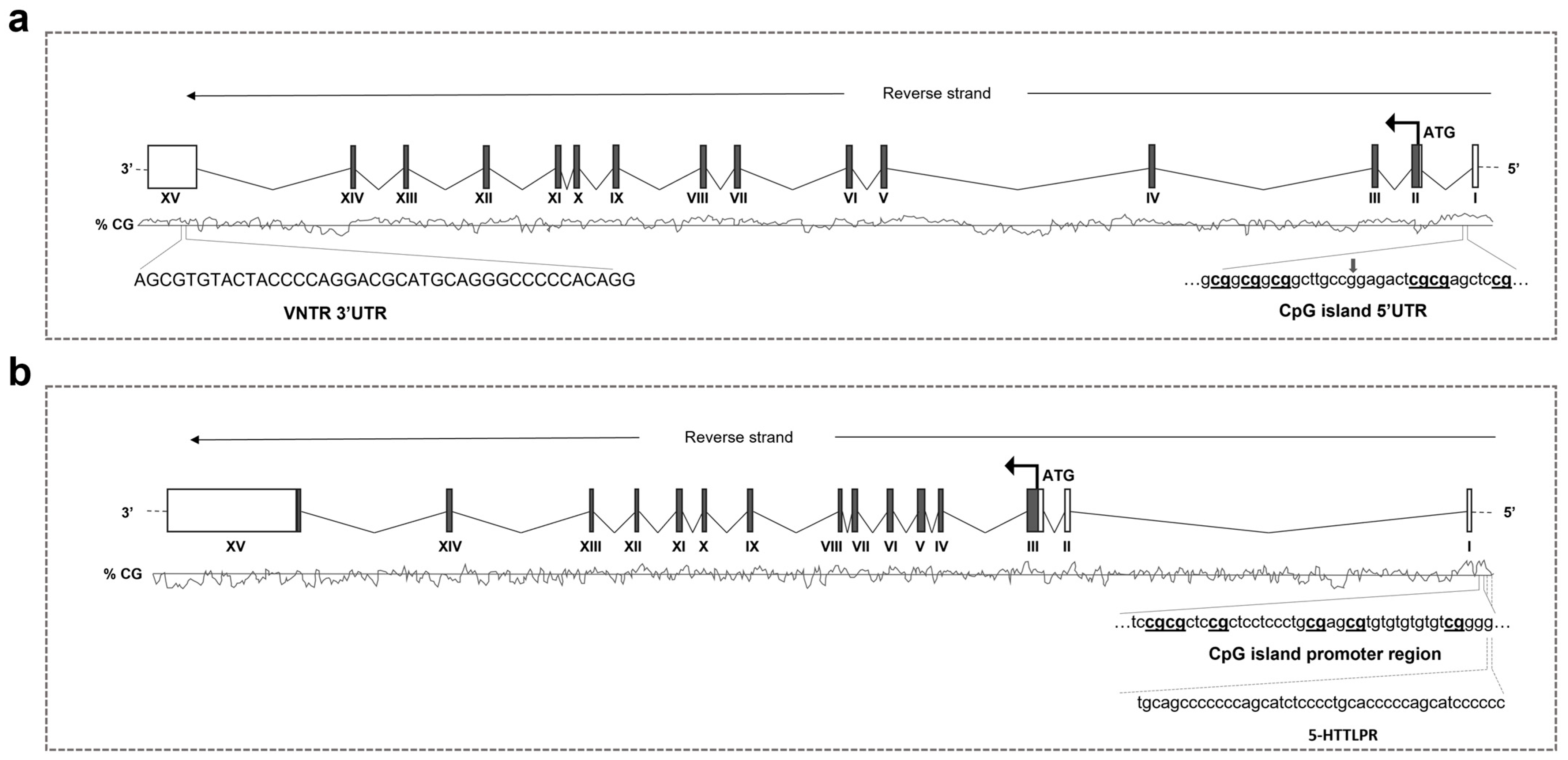 Biomedicines 12 02149 g001 Biomedicines 12 02149 g001