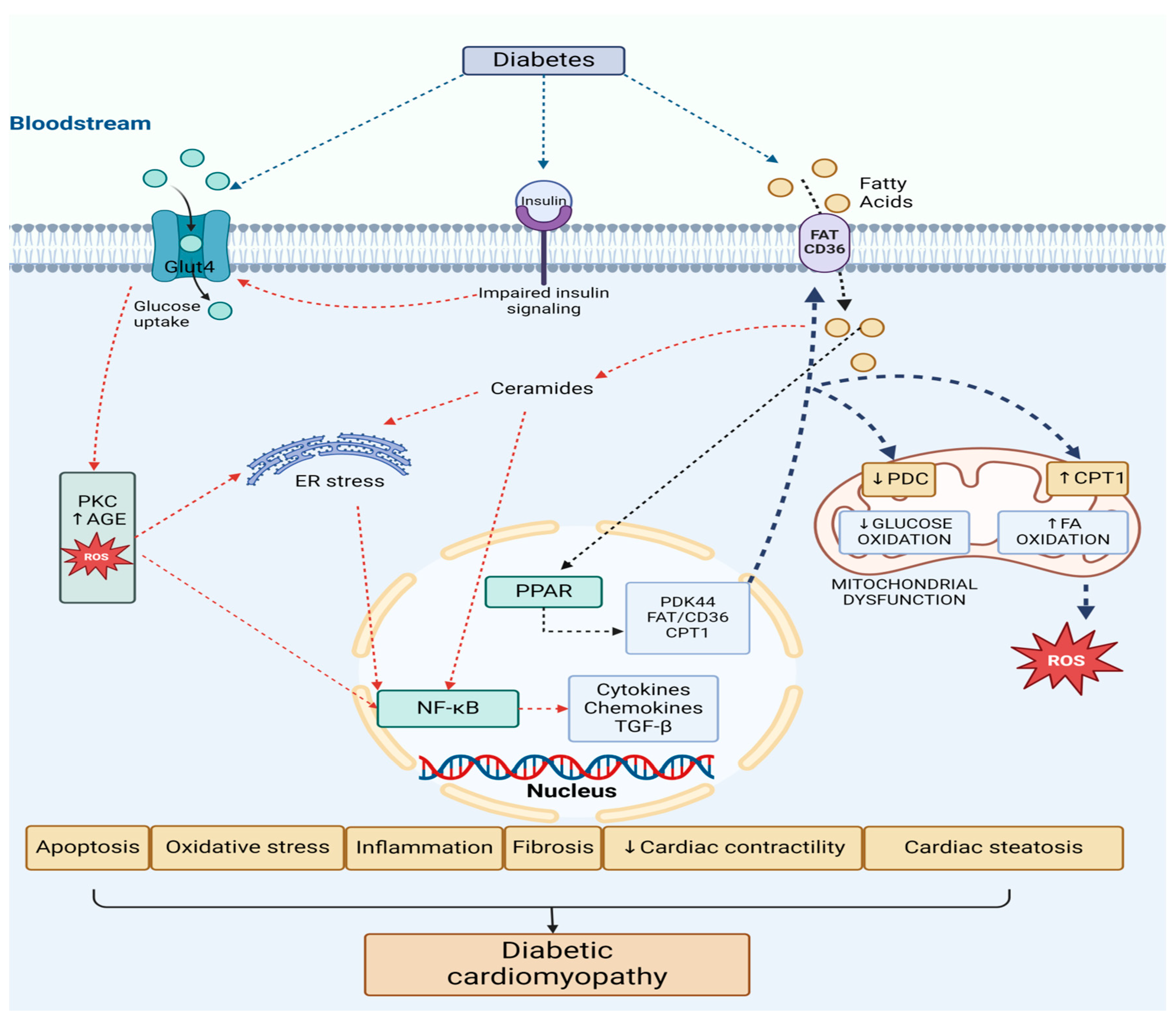 Biomedicines 12 02153 g002 Biomedicines 12 02153 g002