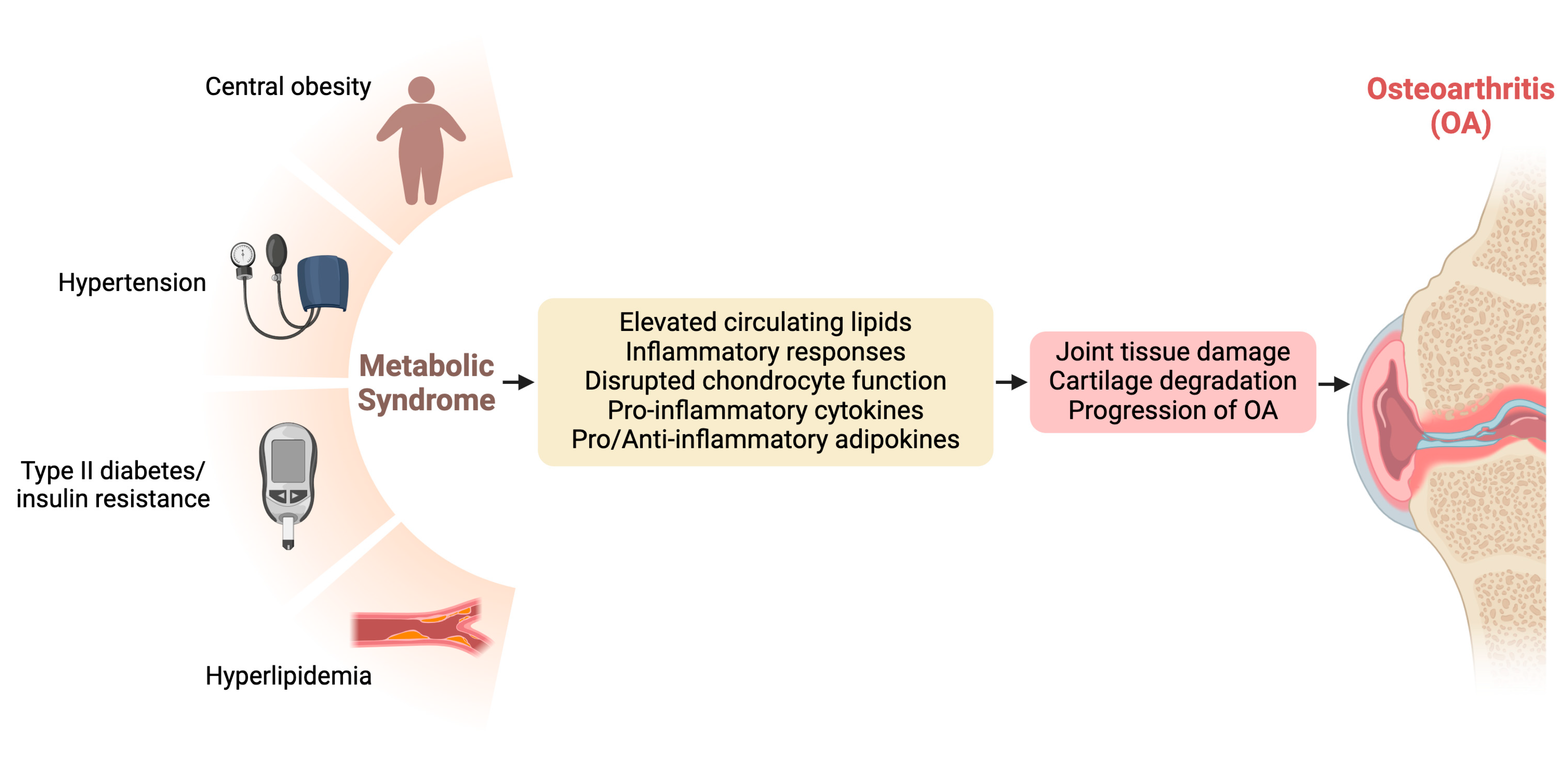 Biomedicines 12 02182 g001