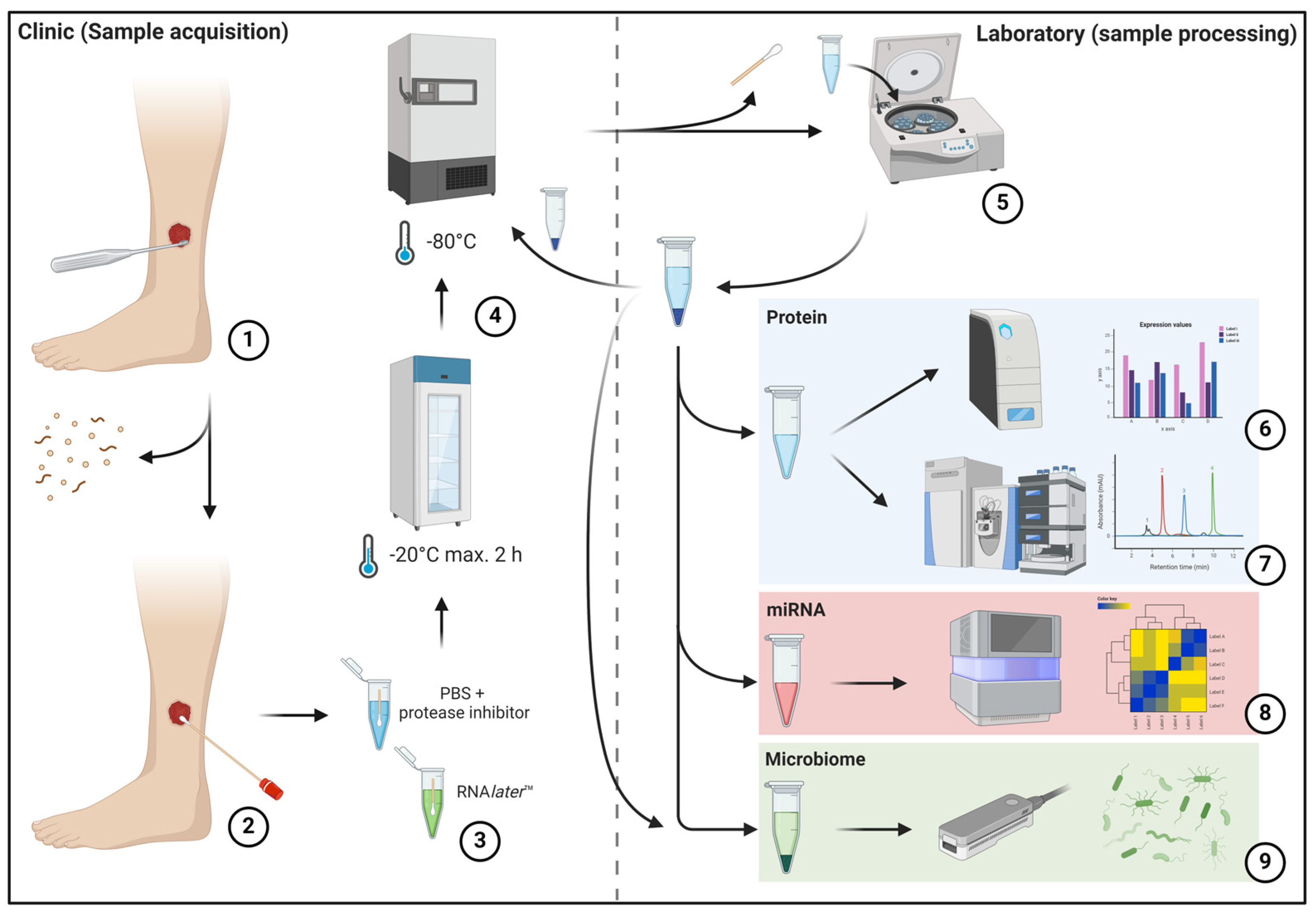 Biomedicines 12 02187 g001