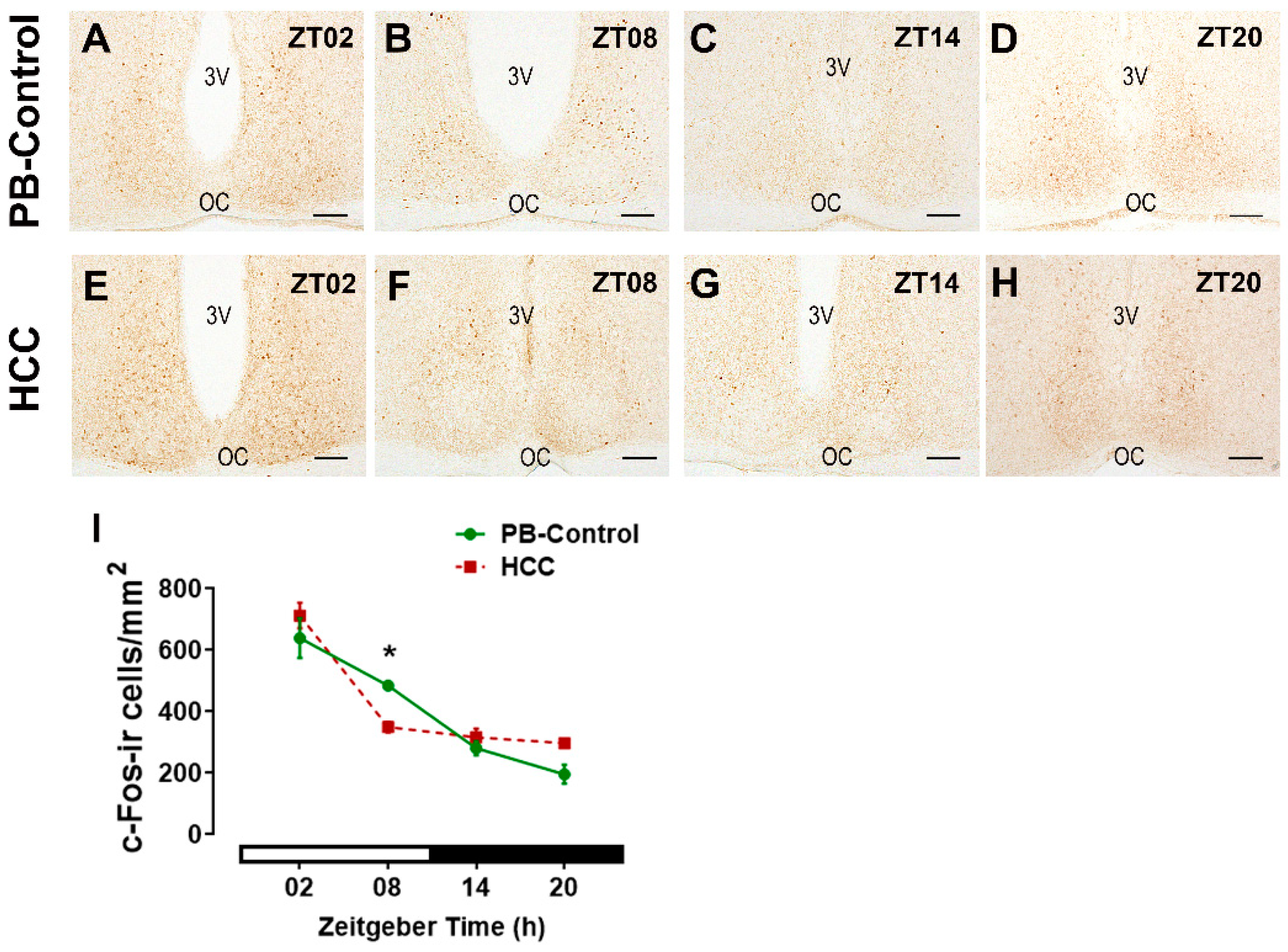 Biomedicines 12 02202 g005
