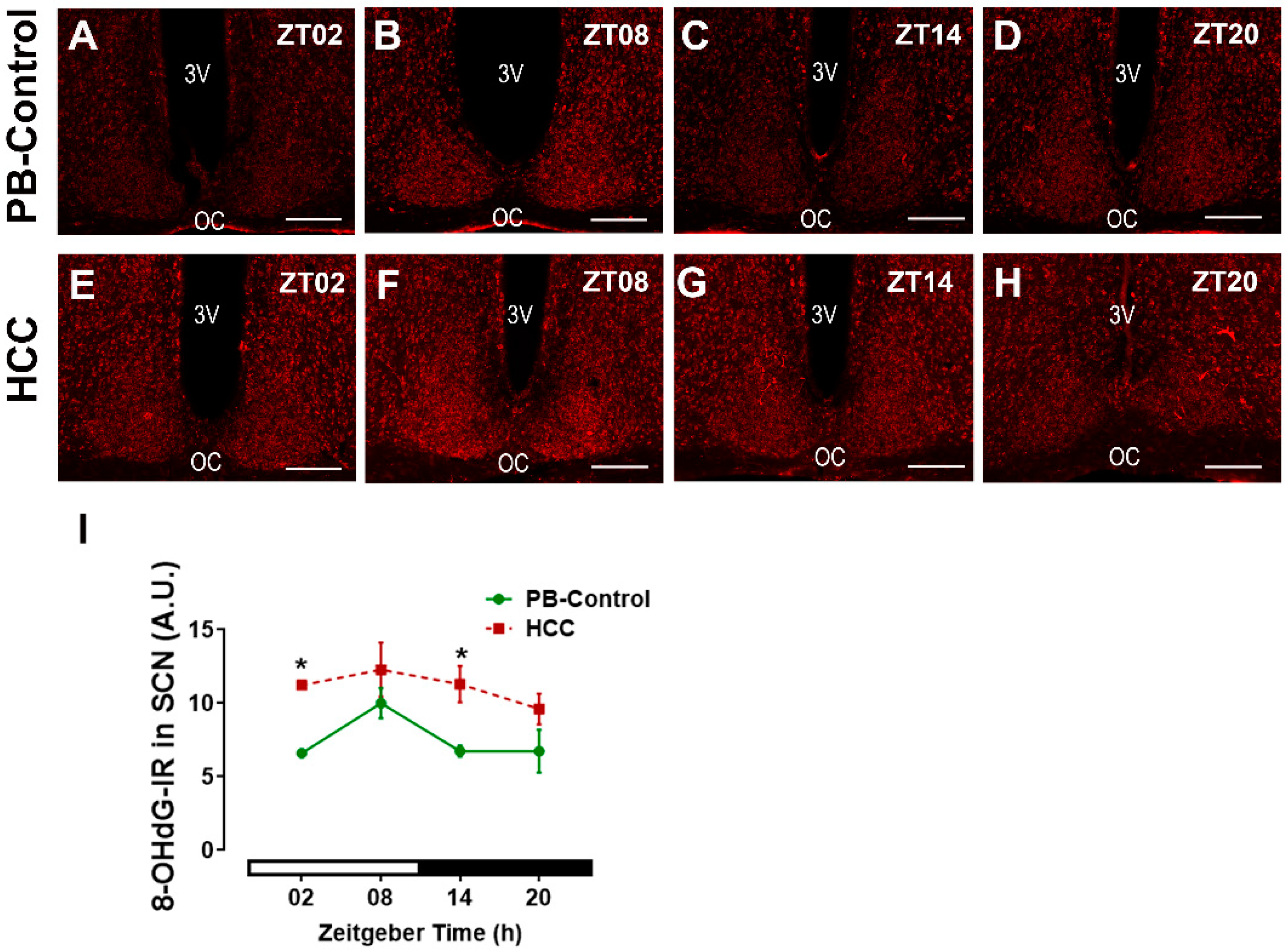 Biomedicines 12 02202 g008