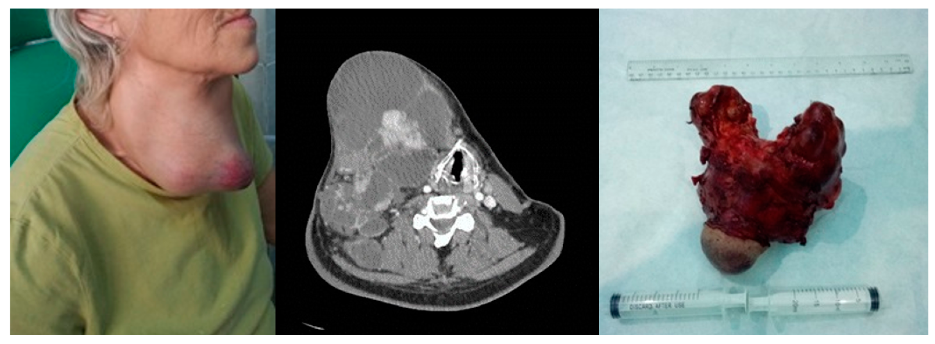 Biomedicines 12 02204 g005