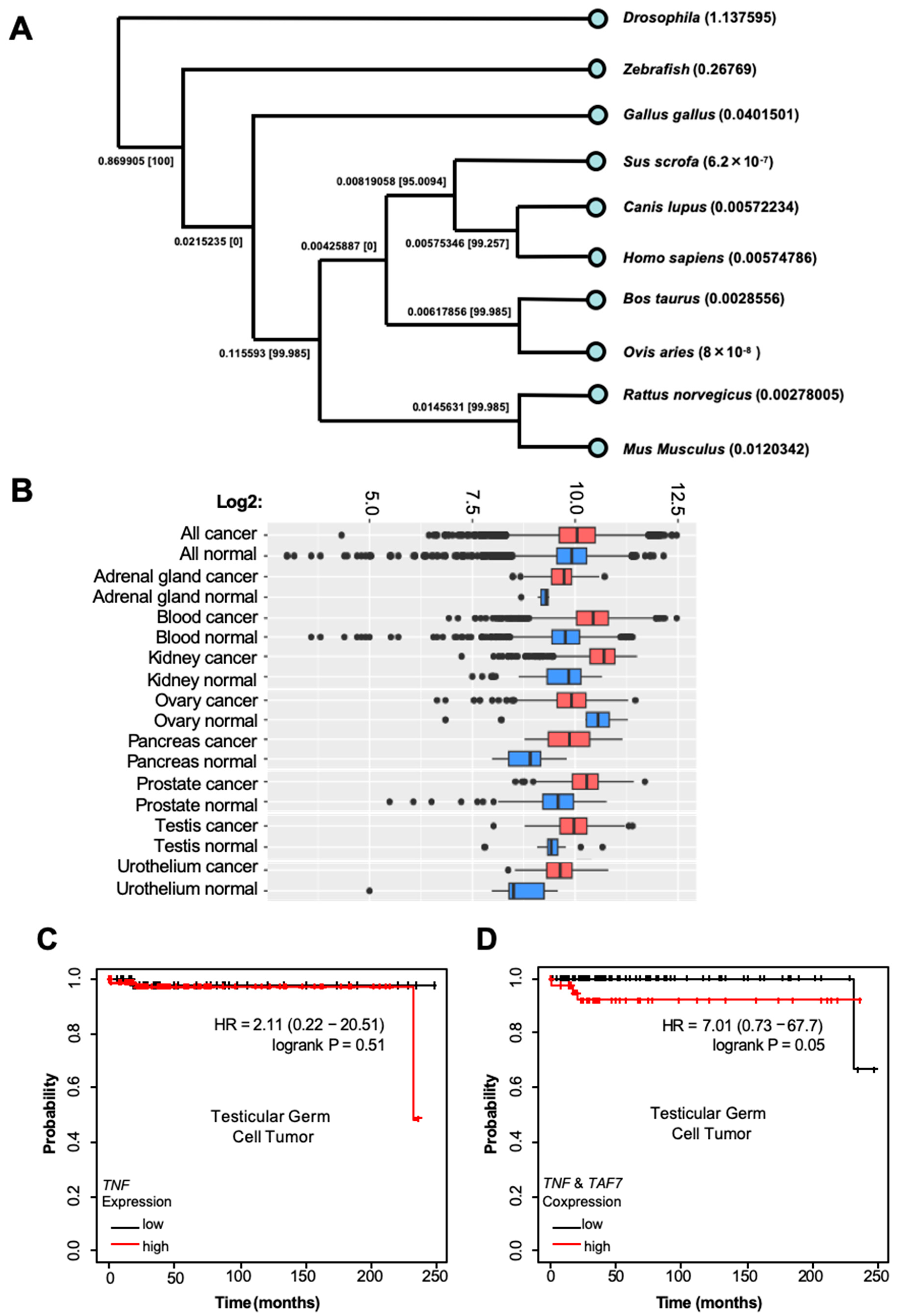 Biomedicines 12 02220 g004