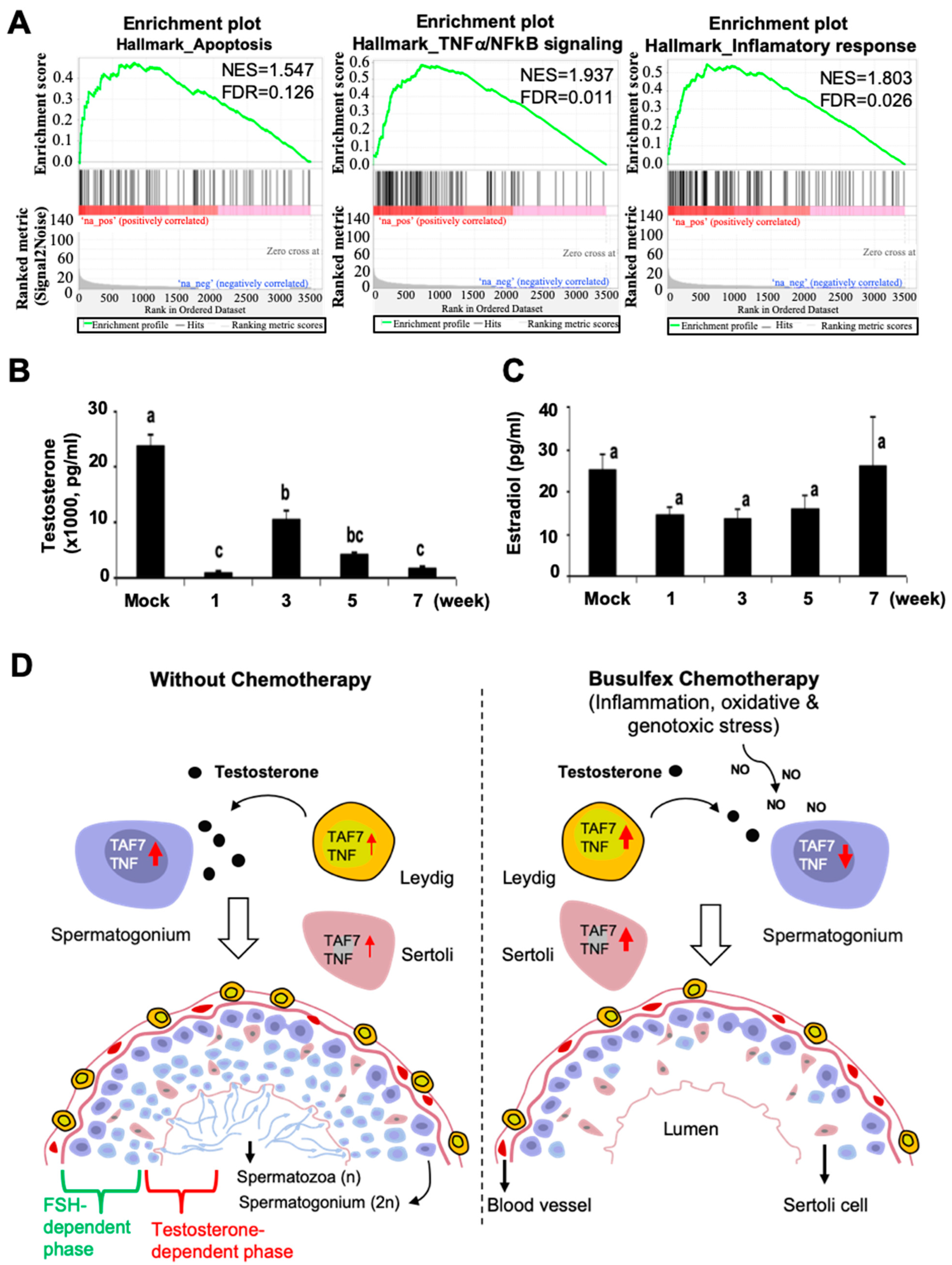 Biomedicines 12 02220 g006