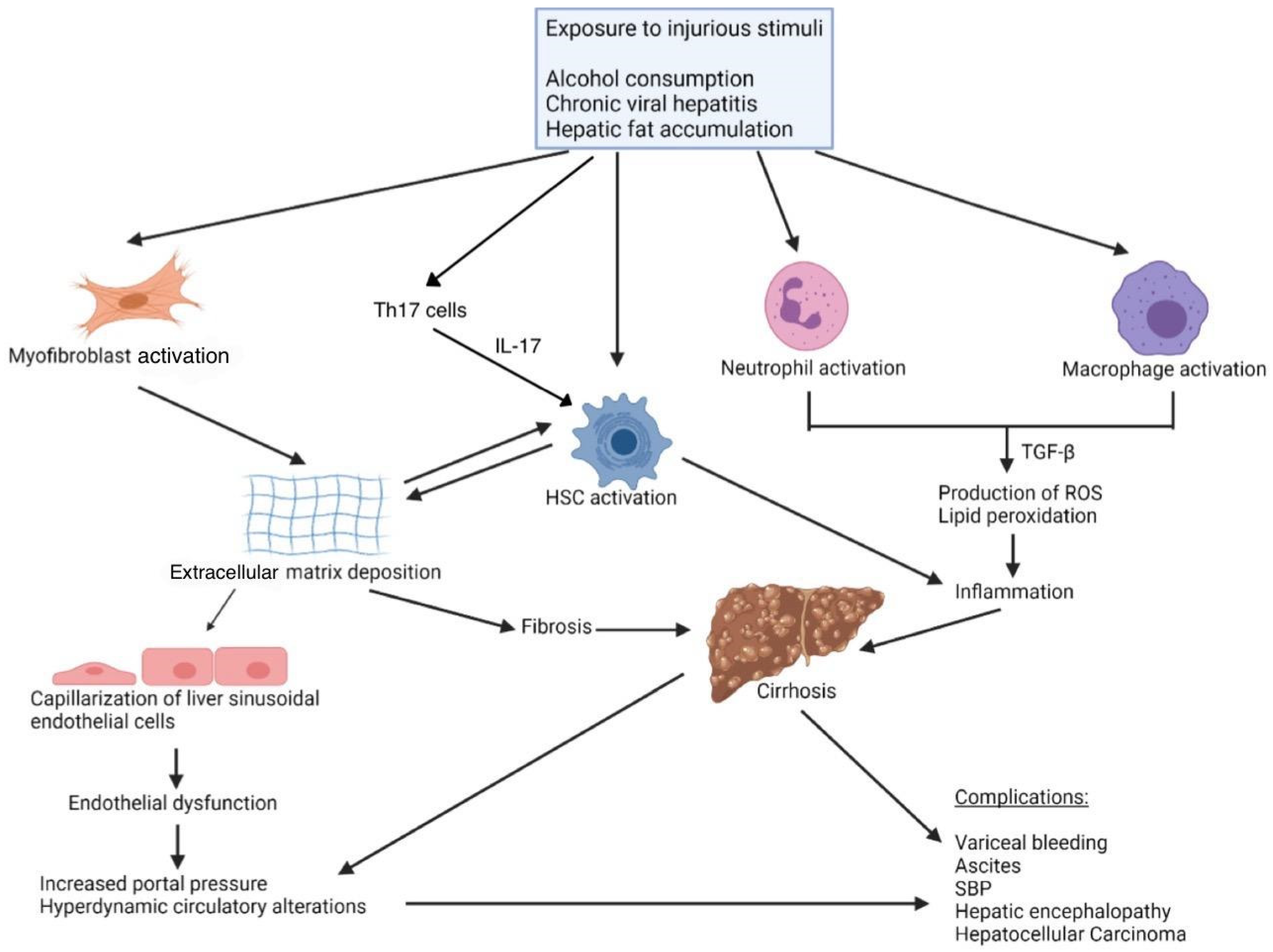 Biomedicines 12 02229 g001