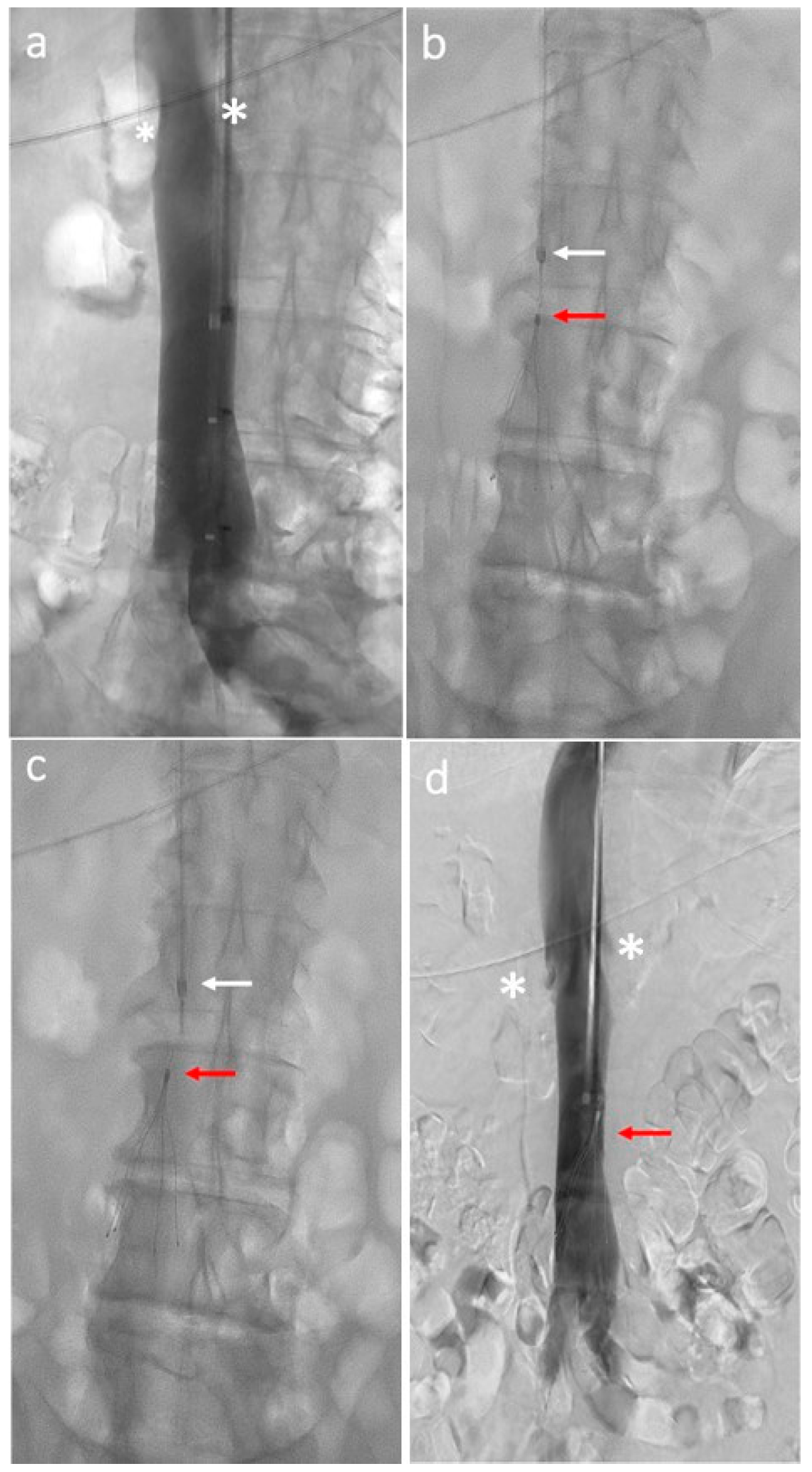 Biomedicines 12 02230 g001