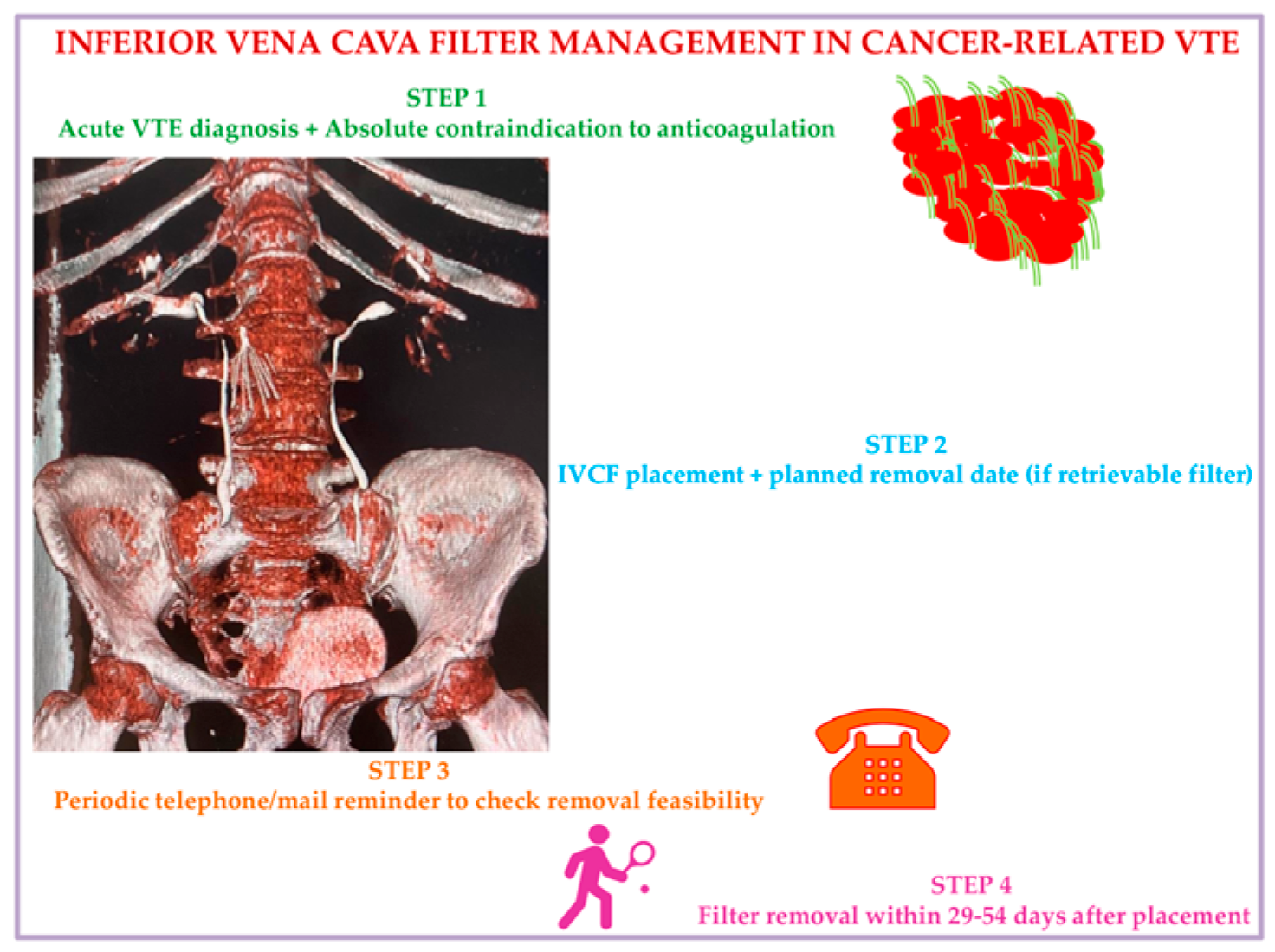Biomedicines 12 02230 g003