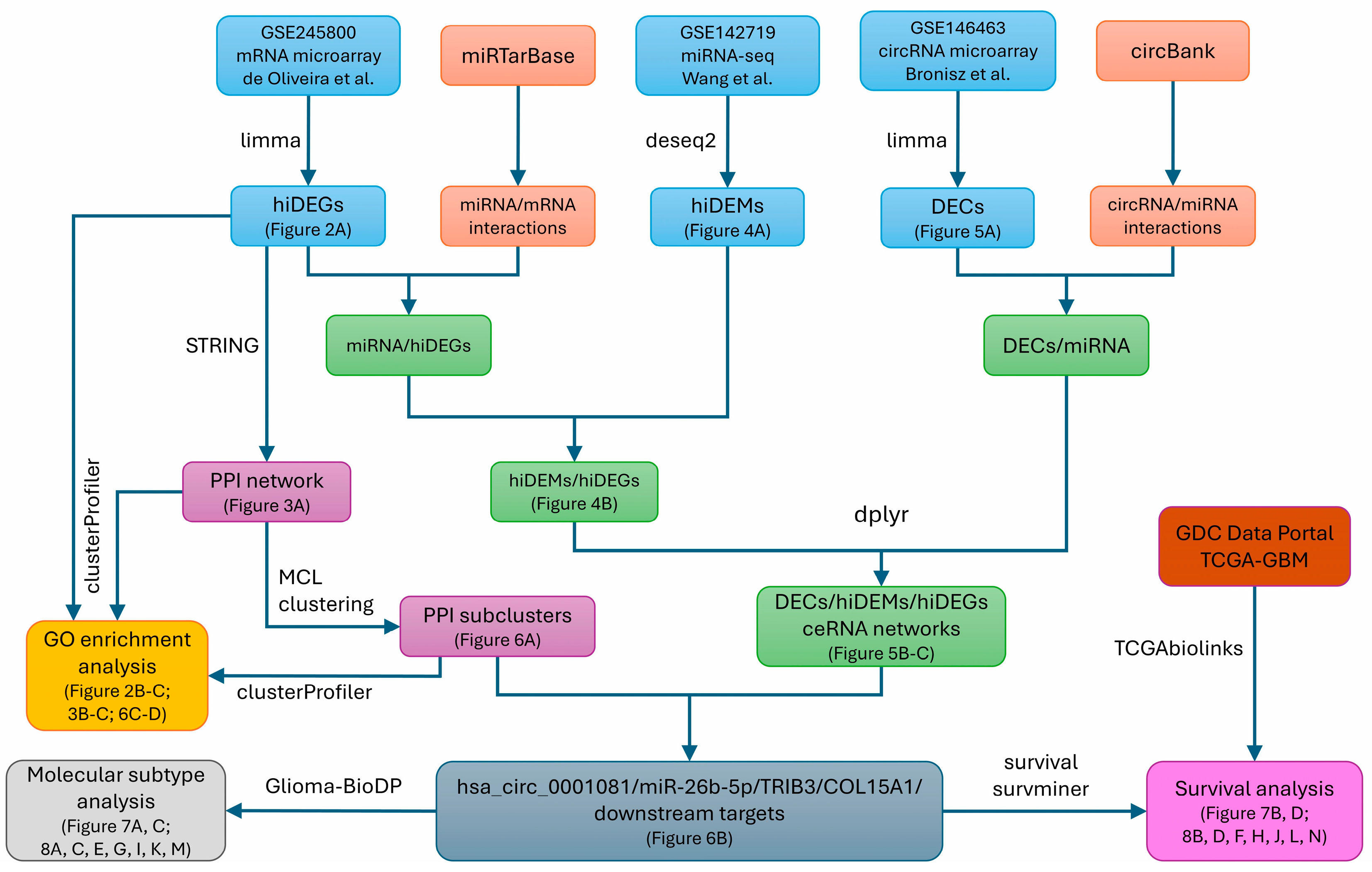 Biomedicines 12 02236 g001