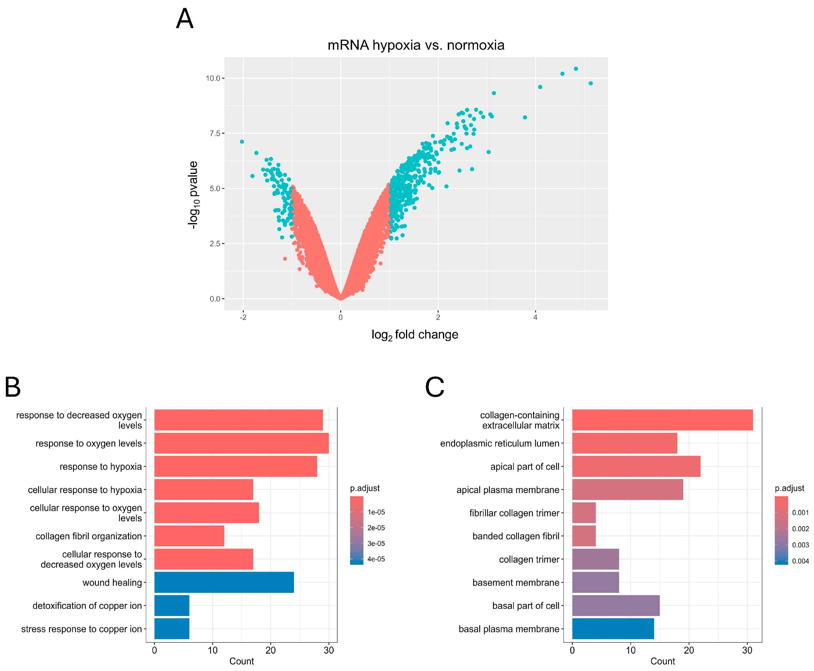 Biomedicines 12 02236 g002