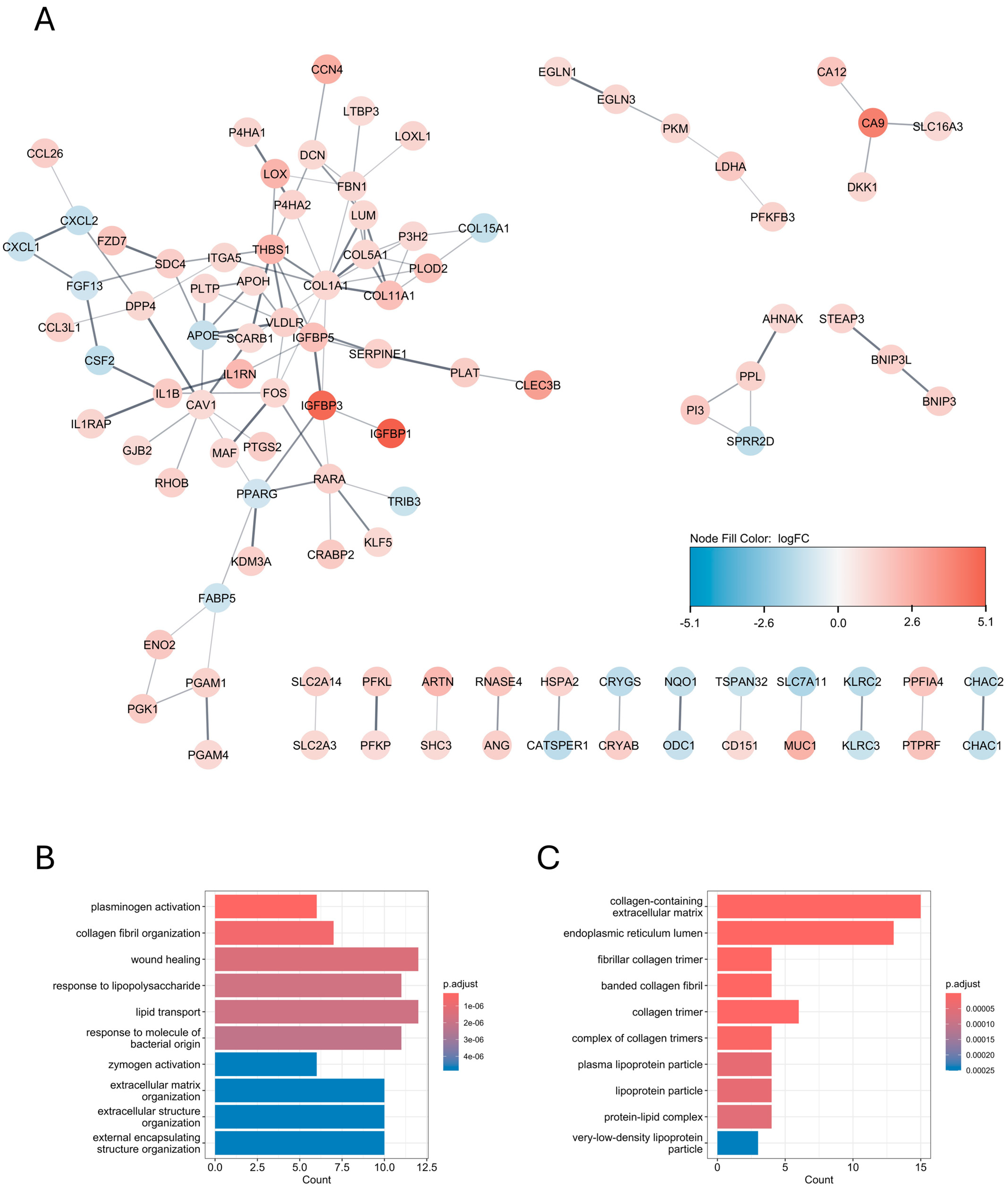 Biomedicines 12 02236 g003