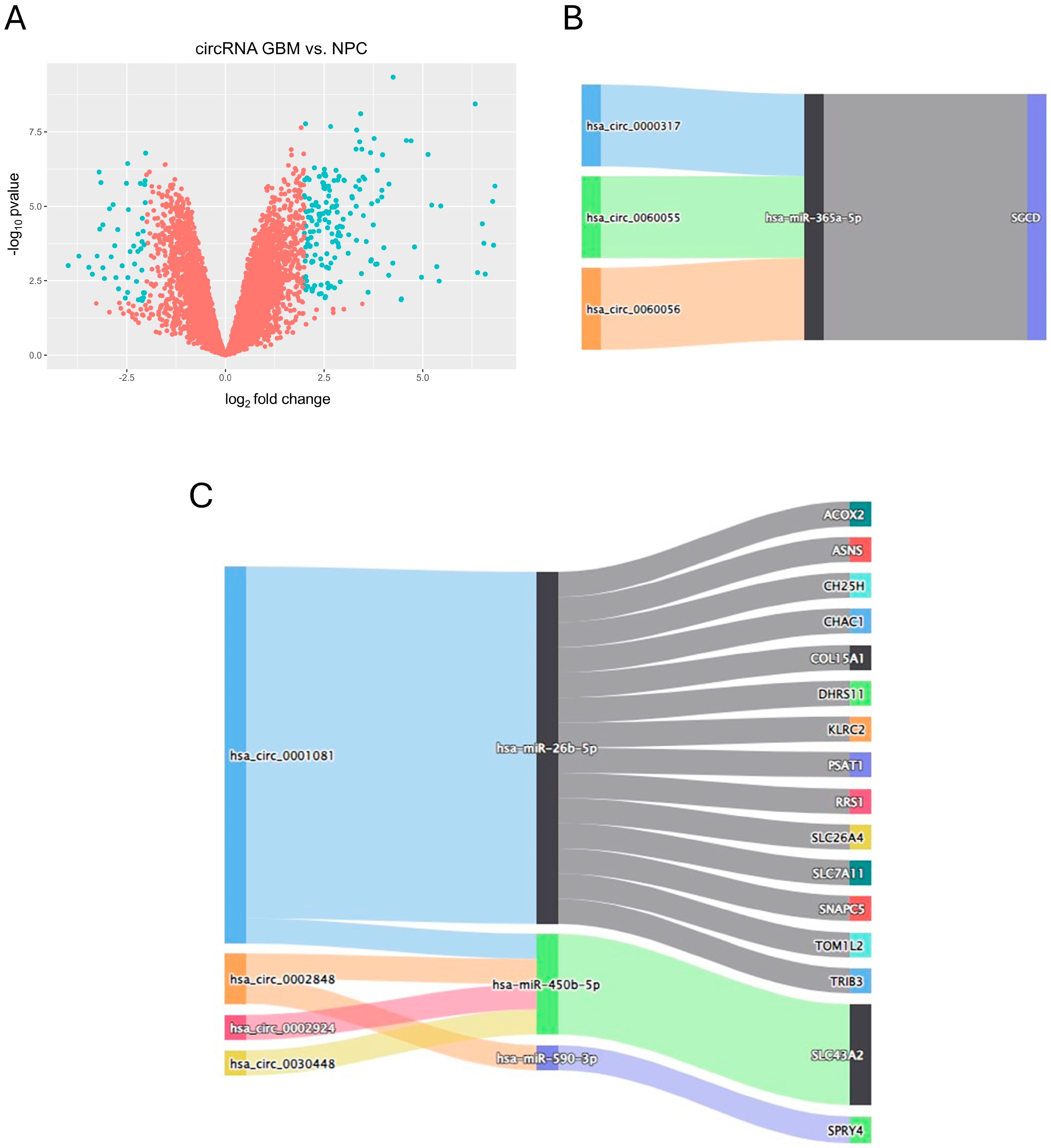 Biomedicines 12 02236 g005