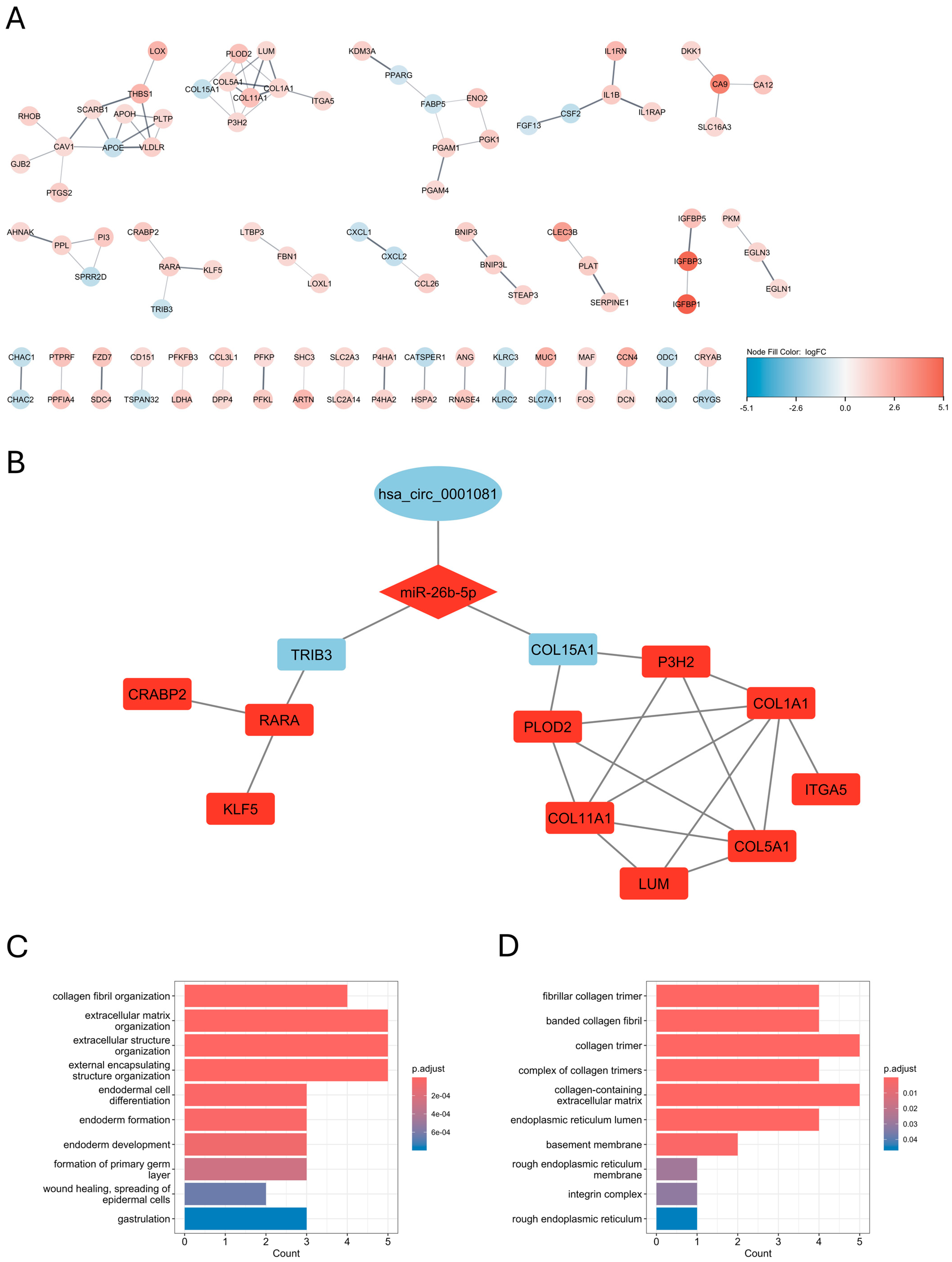 Biomedicines 12 02236 g006