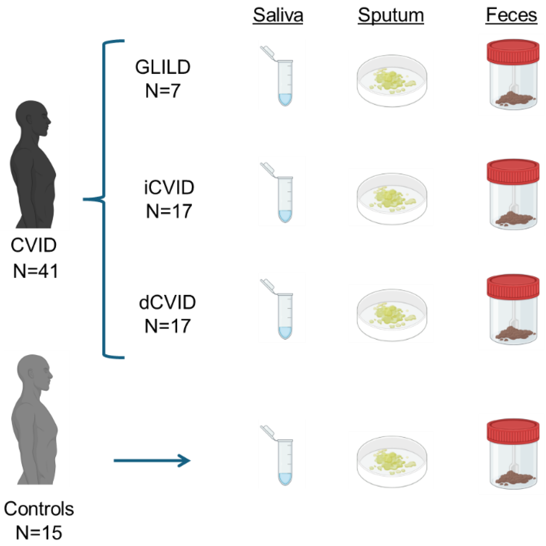 Biomedicines 12 02239 g001 Biomedicines 12 02239 g001
