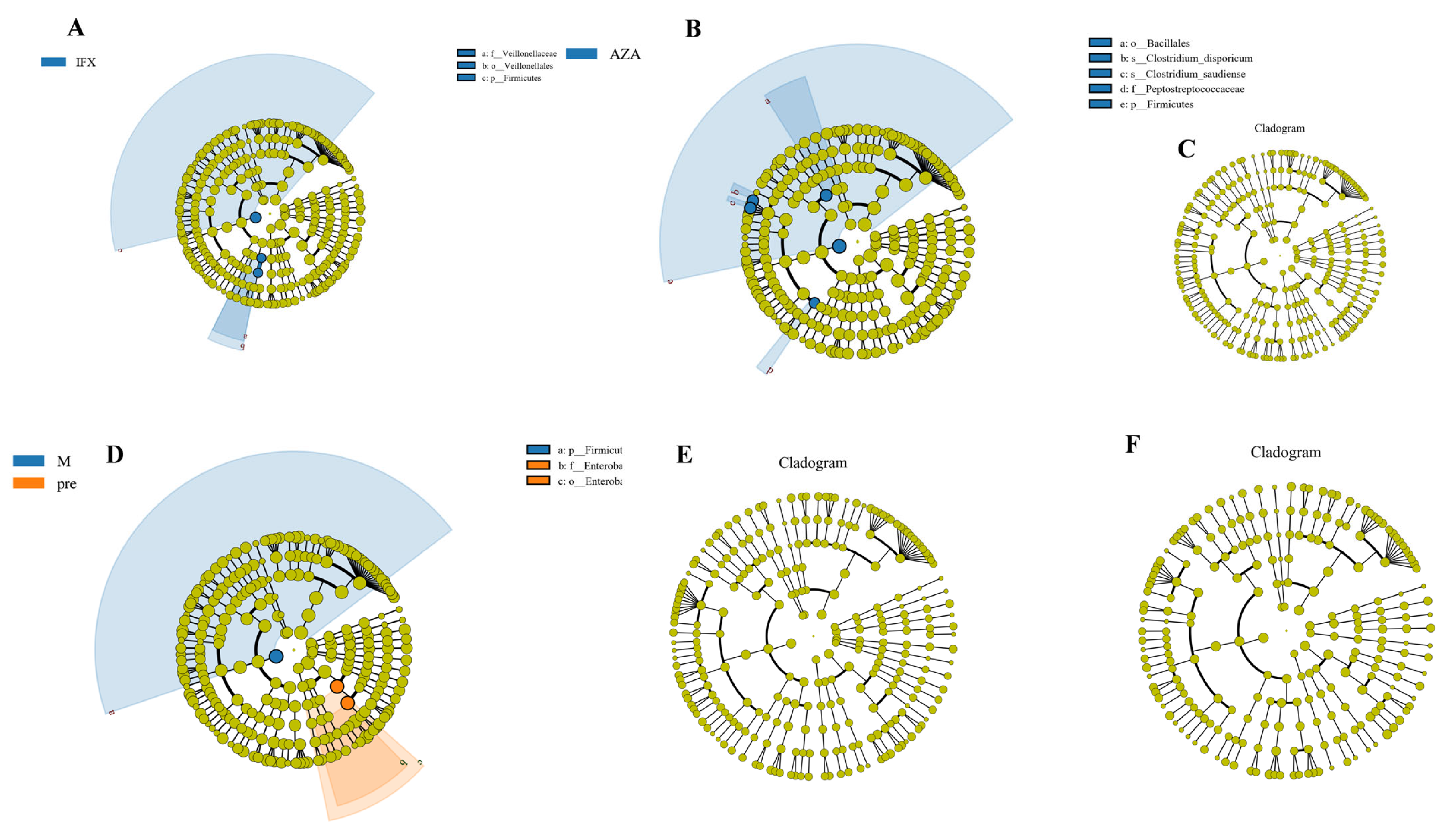 Biomedicines 12 02241 g004