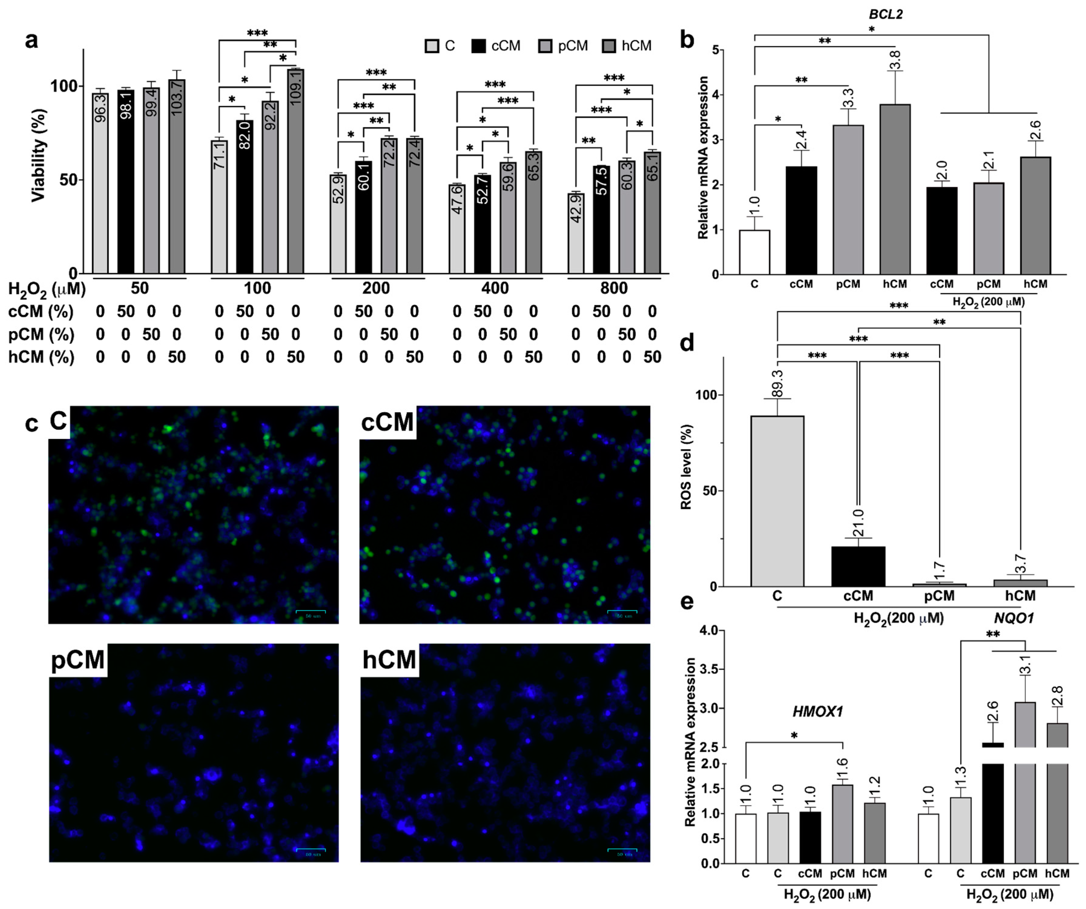 Biomedicines 12 02243 g004 Biomedicines 12 02243 g004