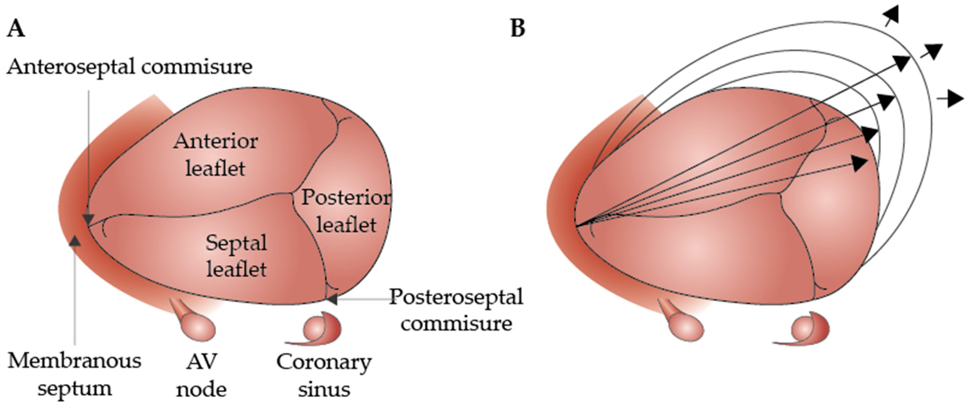 Biomedicines 12 02249 g001