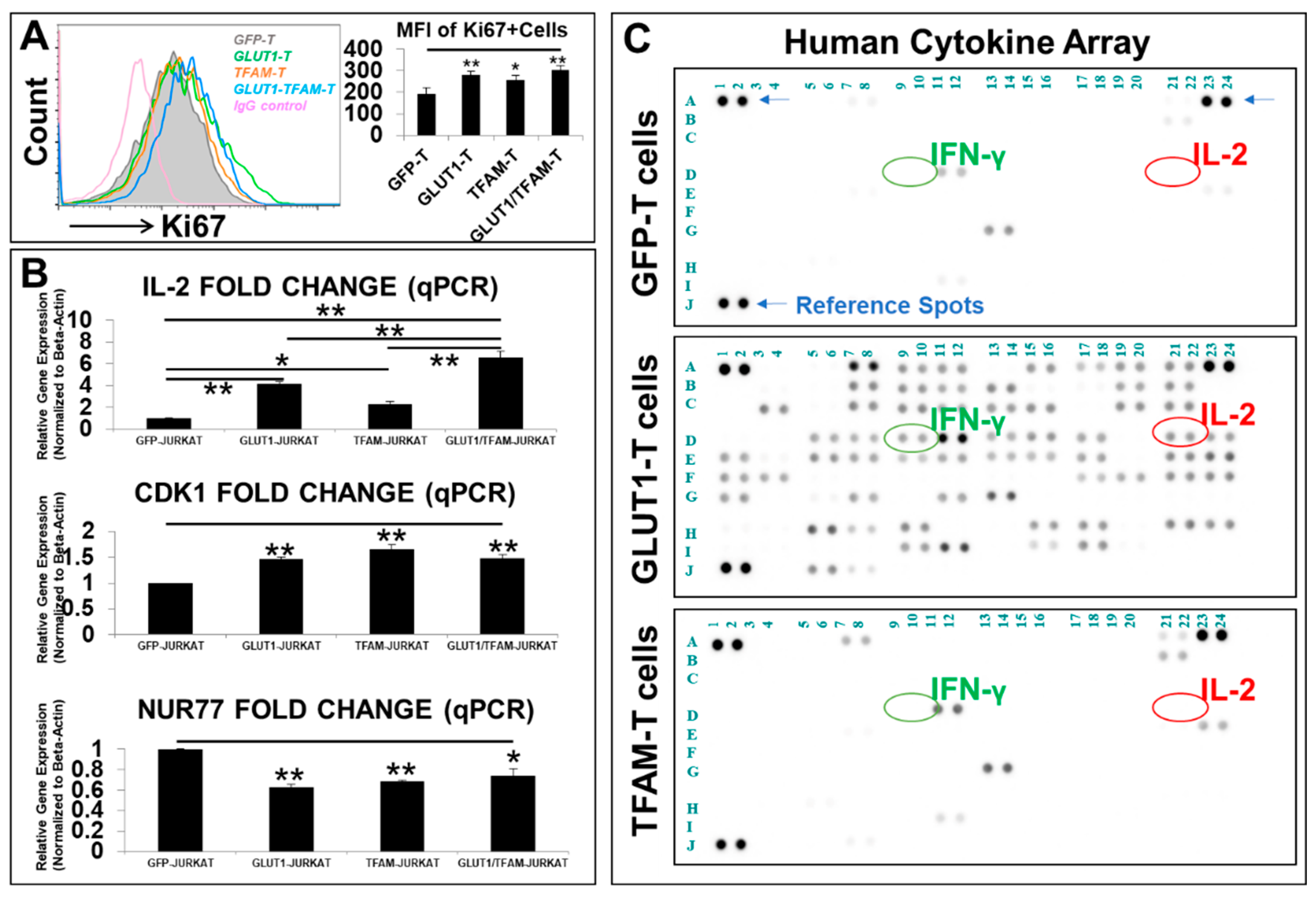 Biomedicines 12 02250 g003