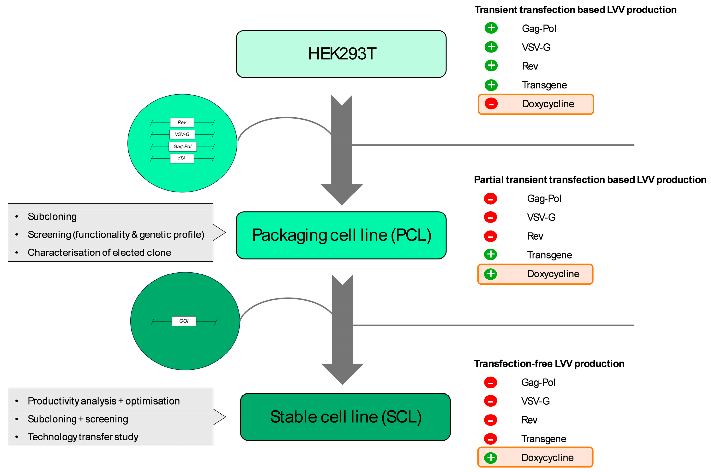 Biomedicines 12 02265 g001