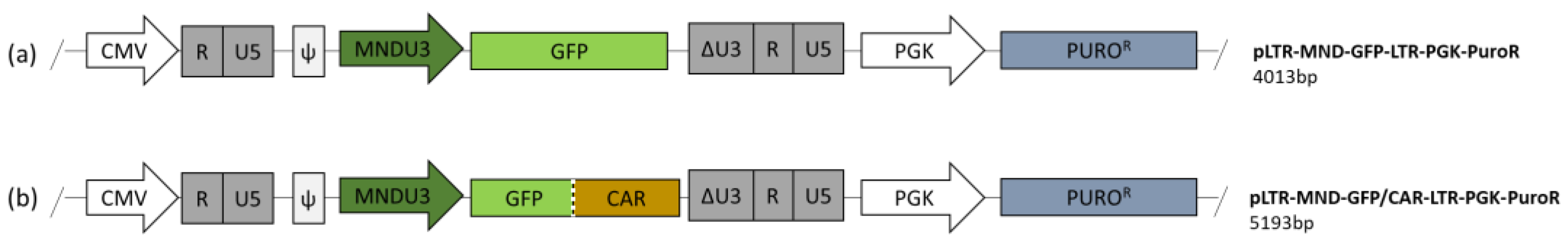 Biomedicines 12 02265 g006