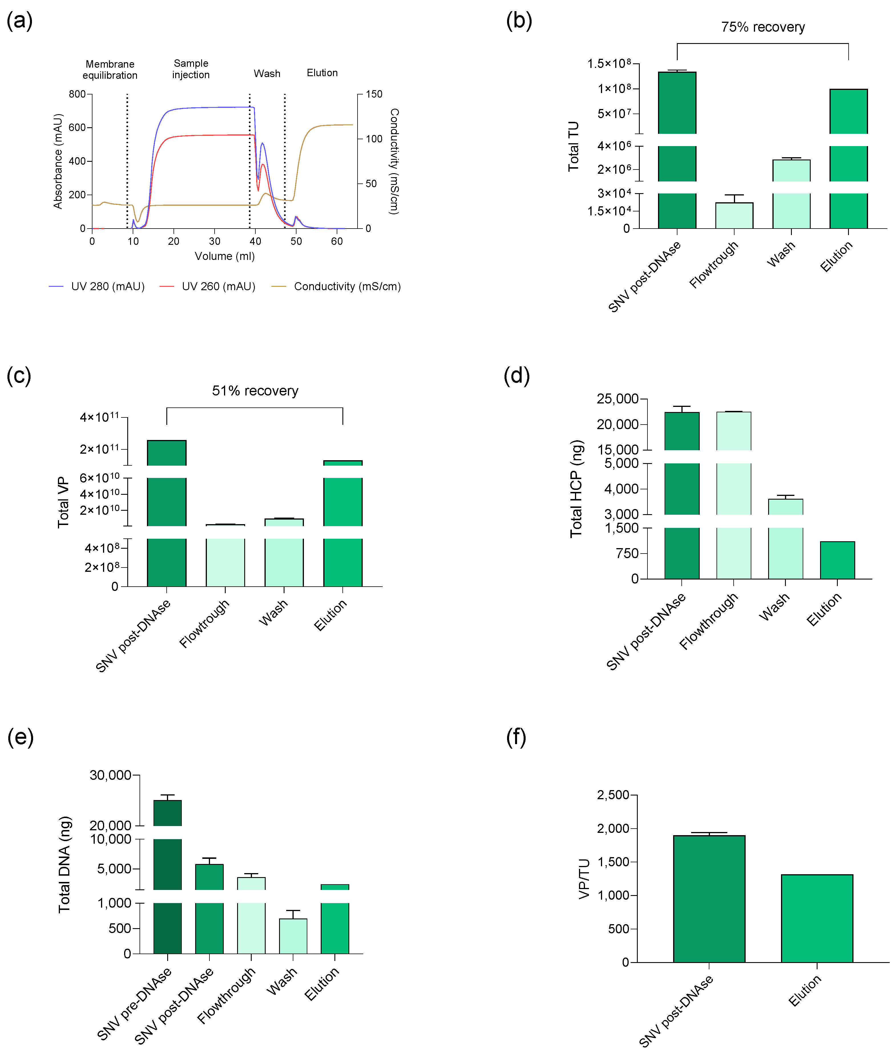 Biomedicines 12 02265 g012
