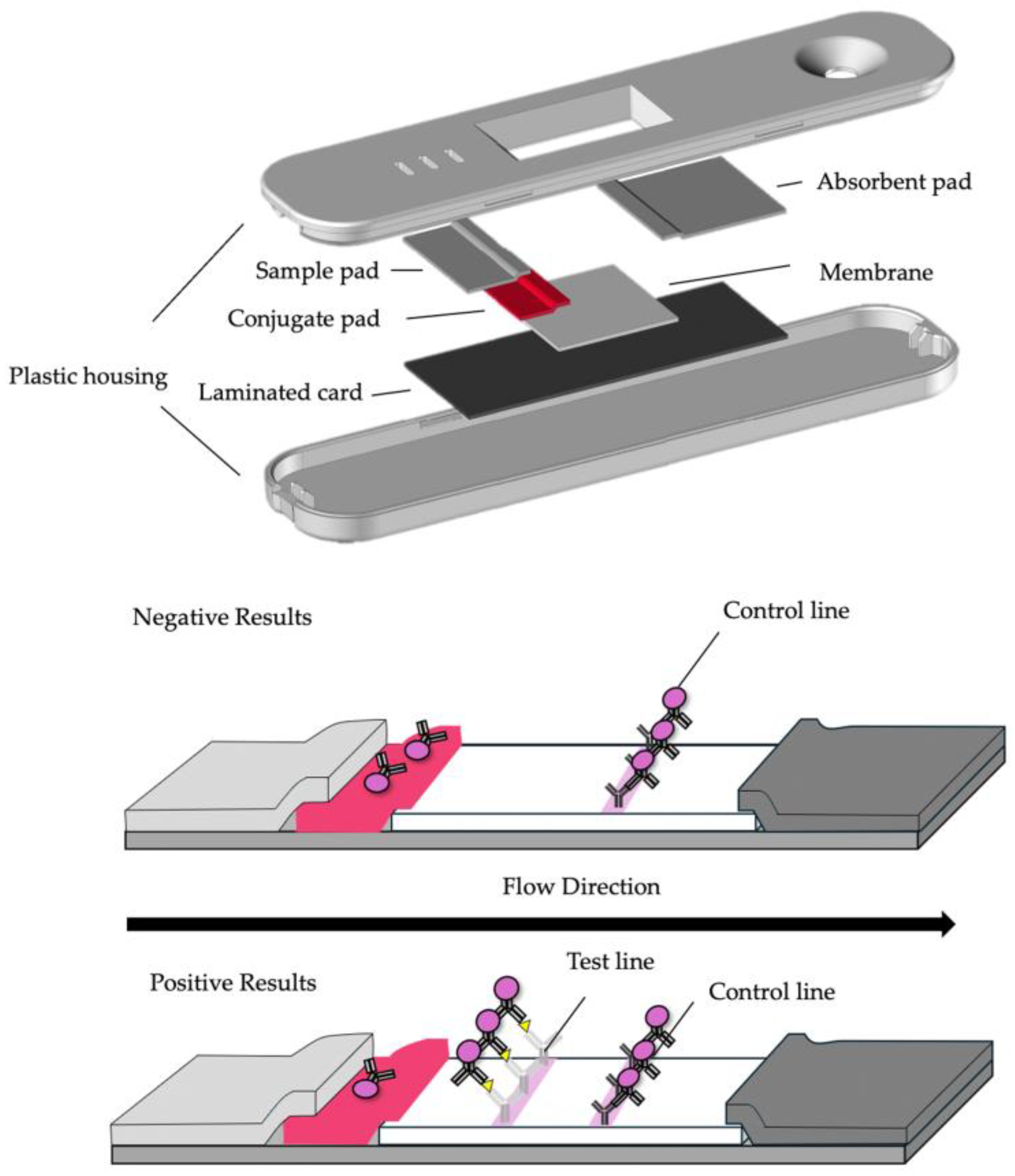 Biomedicines 12 02268 g001