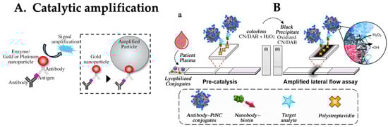 Biomedicines 12 02268 g003