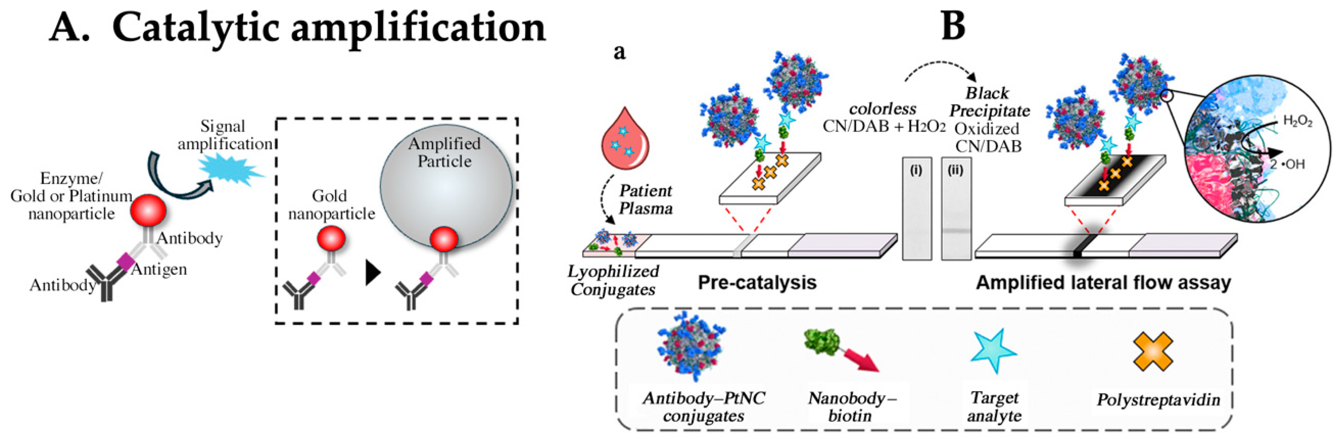 Biomedicines 12 02268 g003
