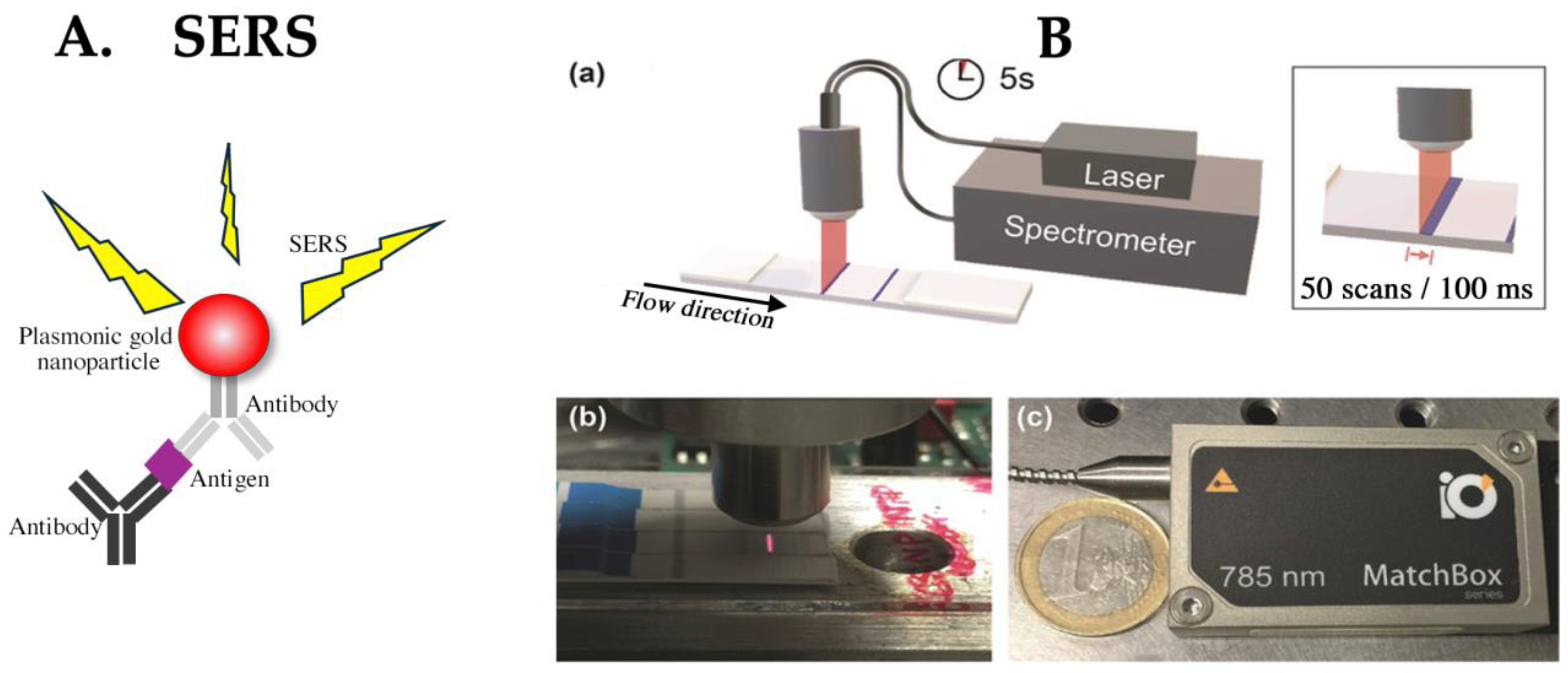 Biomedicines 12 02268 g004