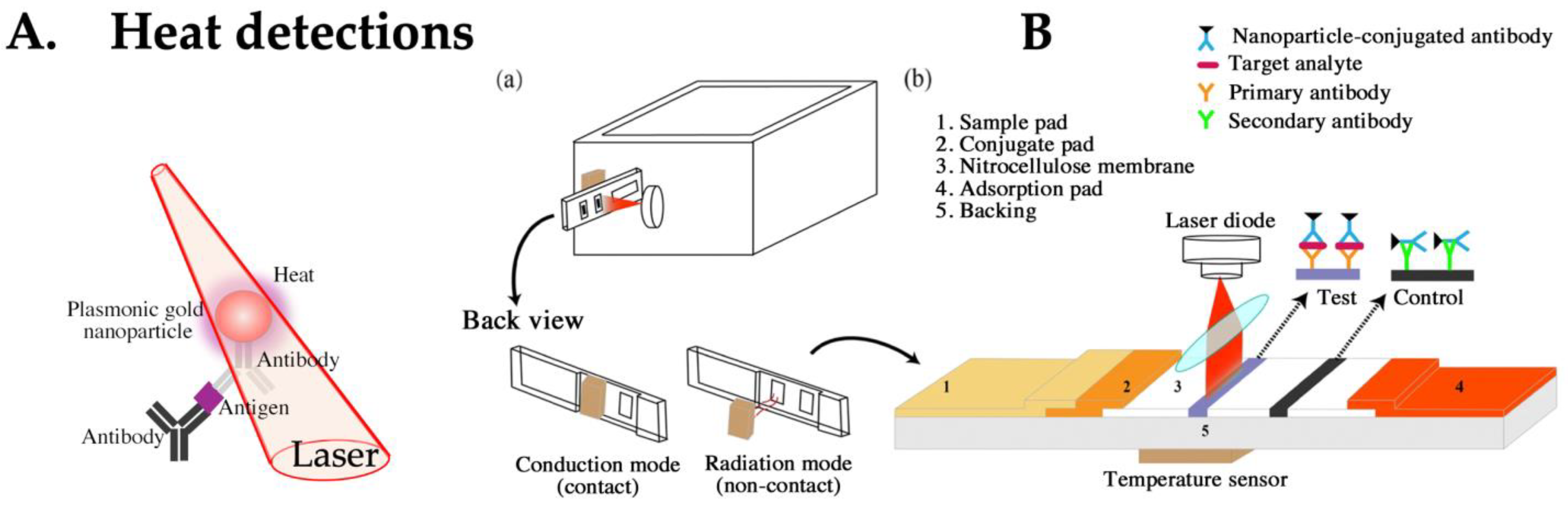 Biomedicines 12 02268 g005