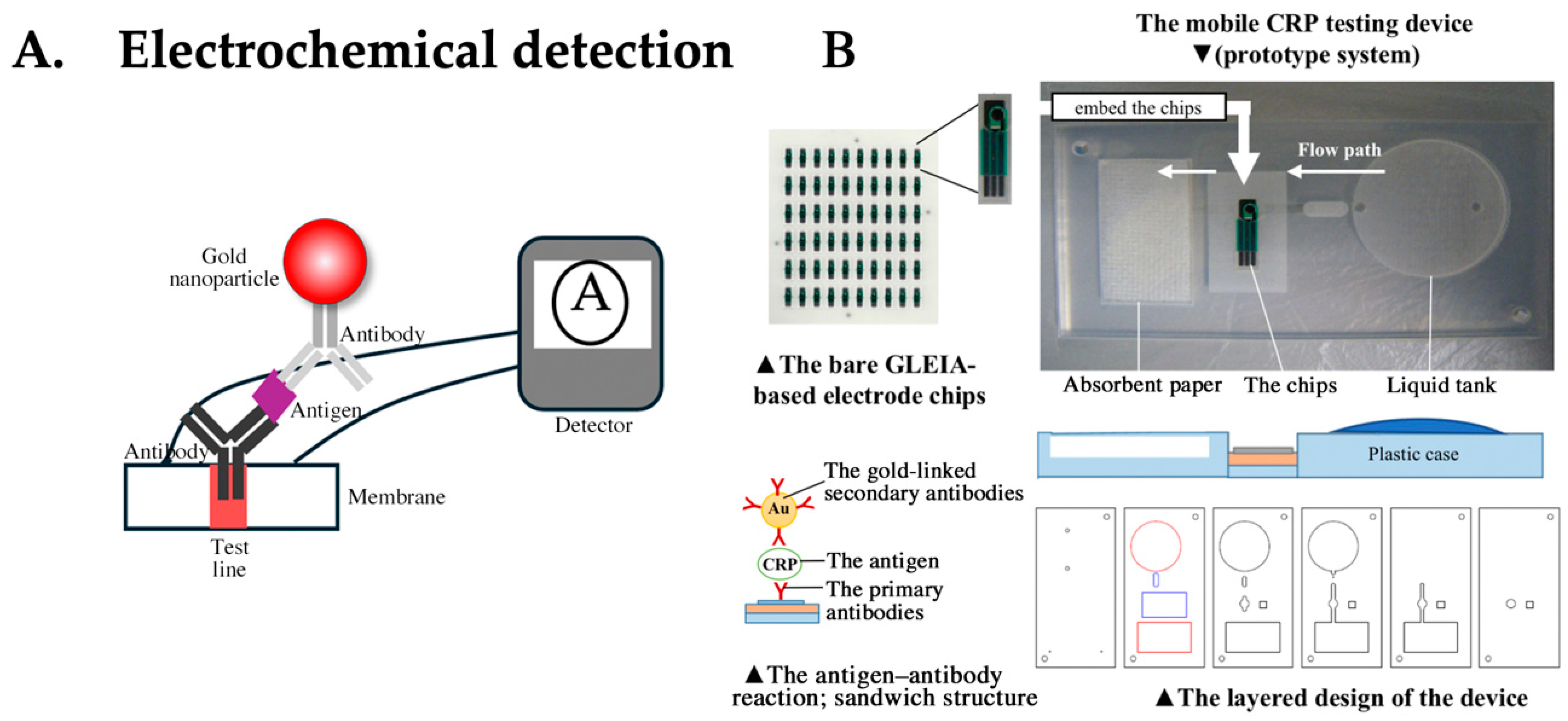 Biomedicines 12 02268 g006