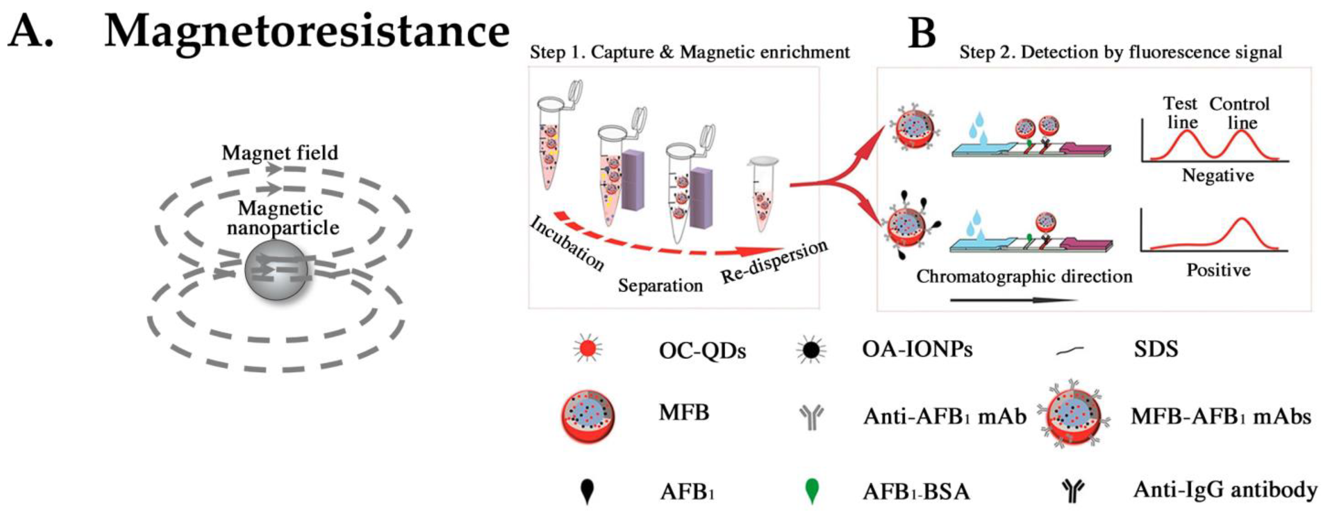 Biomedicines 12 02268 g007