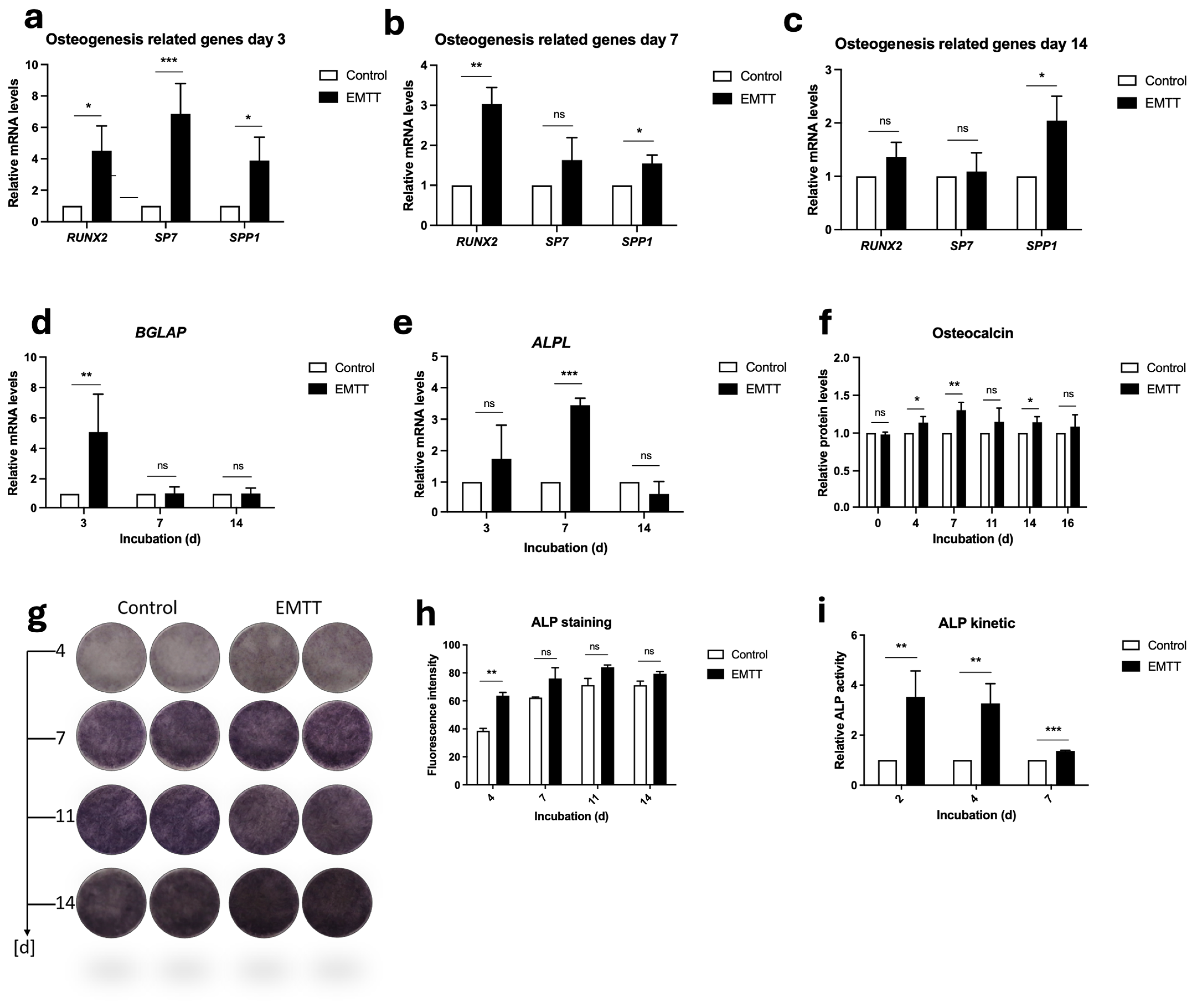 Biomedicines 12 02269 g005 Biomedicines 12 02269 g005