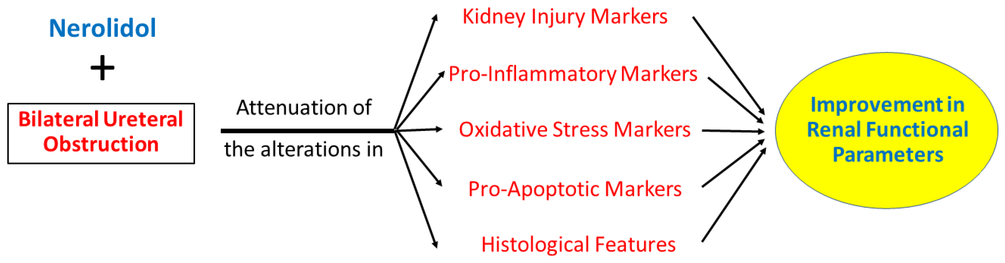 Biomedicines 12 02285 g006 Biomedicines 12 02285 g006