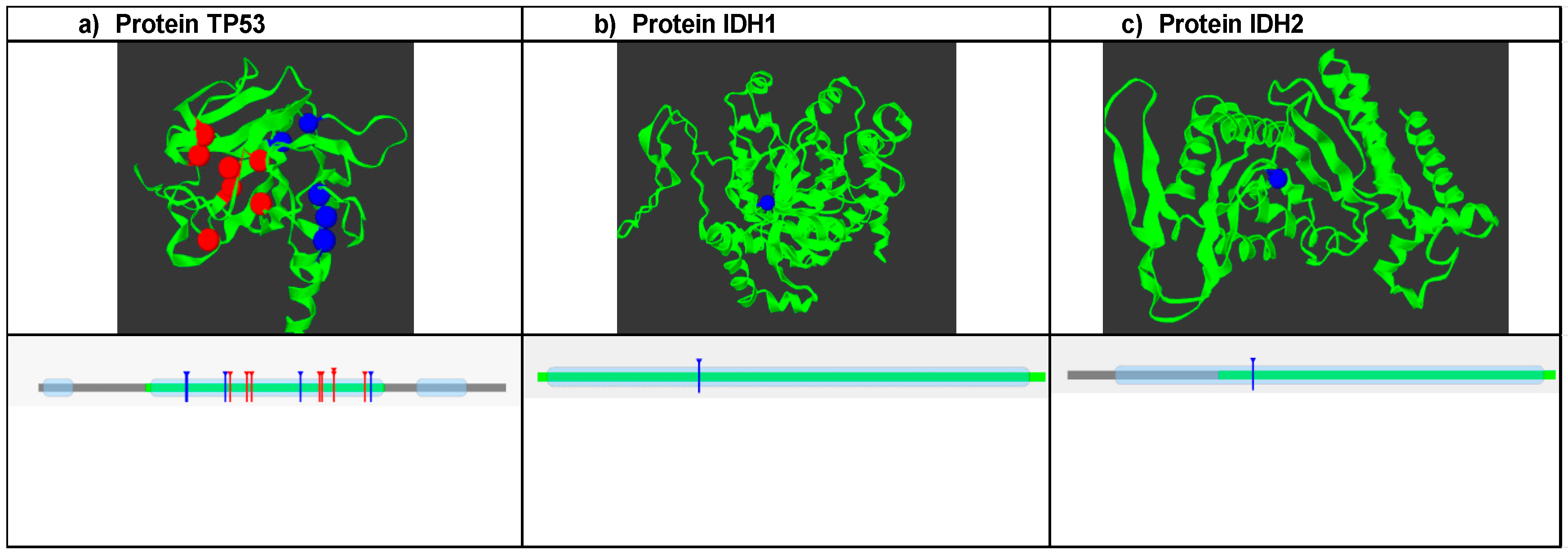 Biomedicines 12 02287 g001