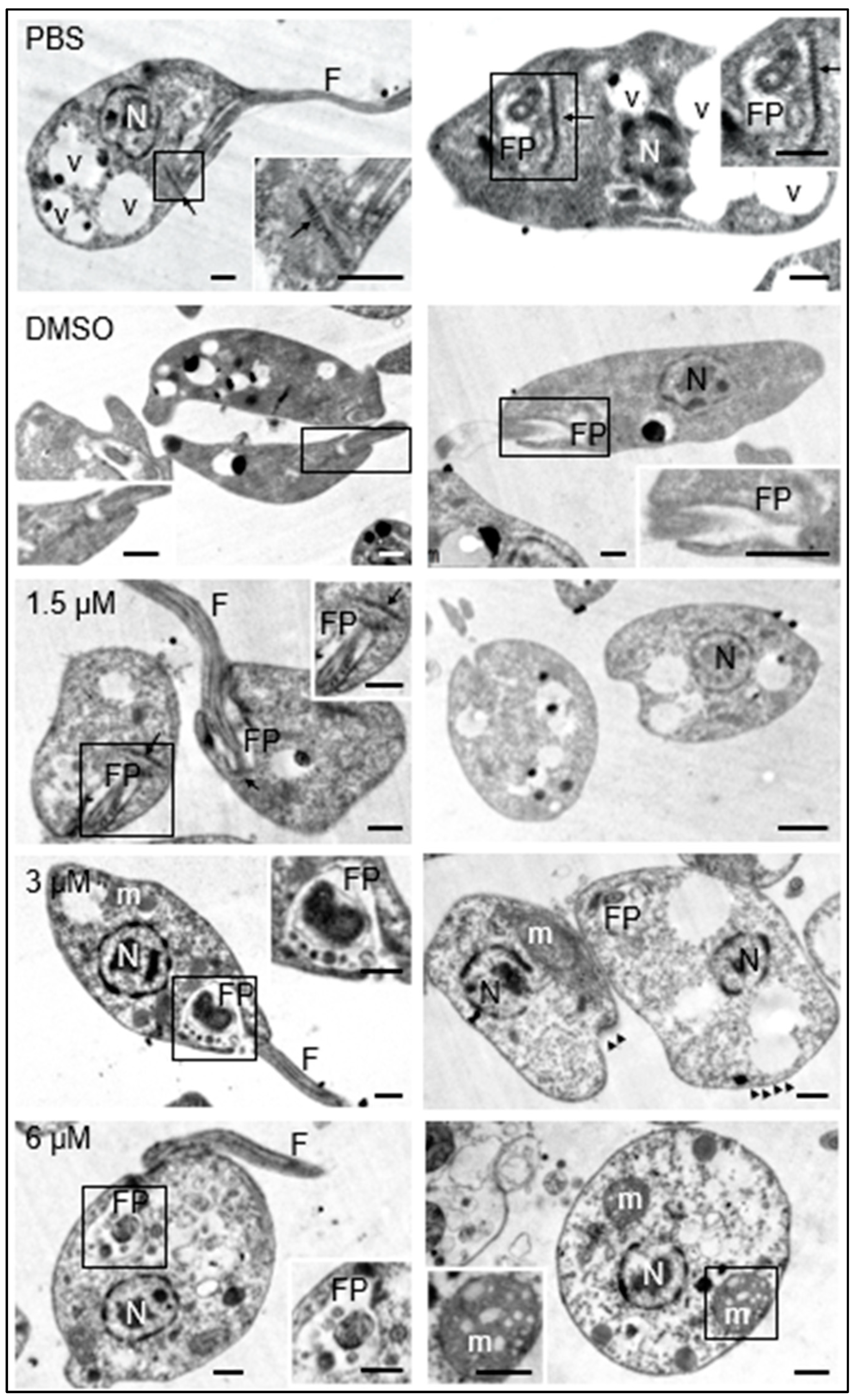 Biomedicines 12 02290 g003