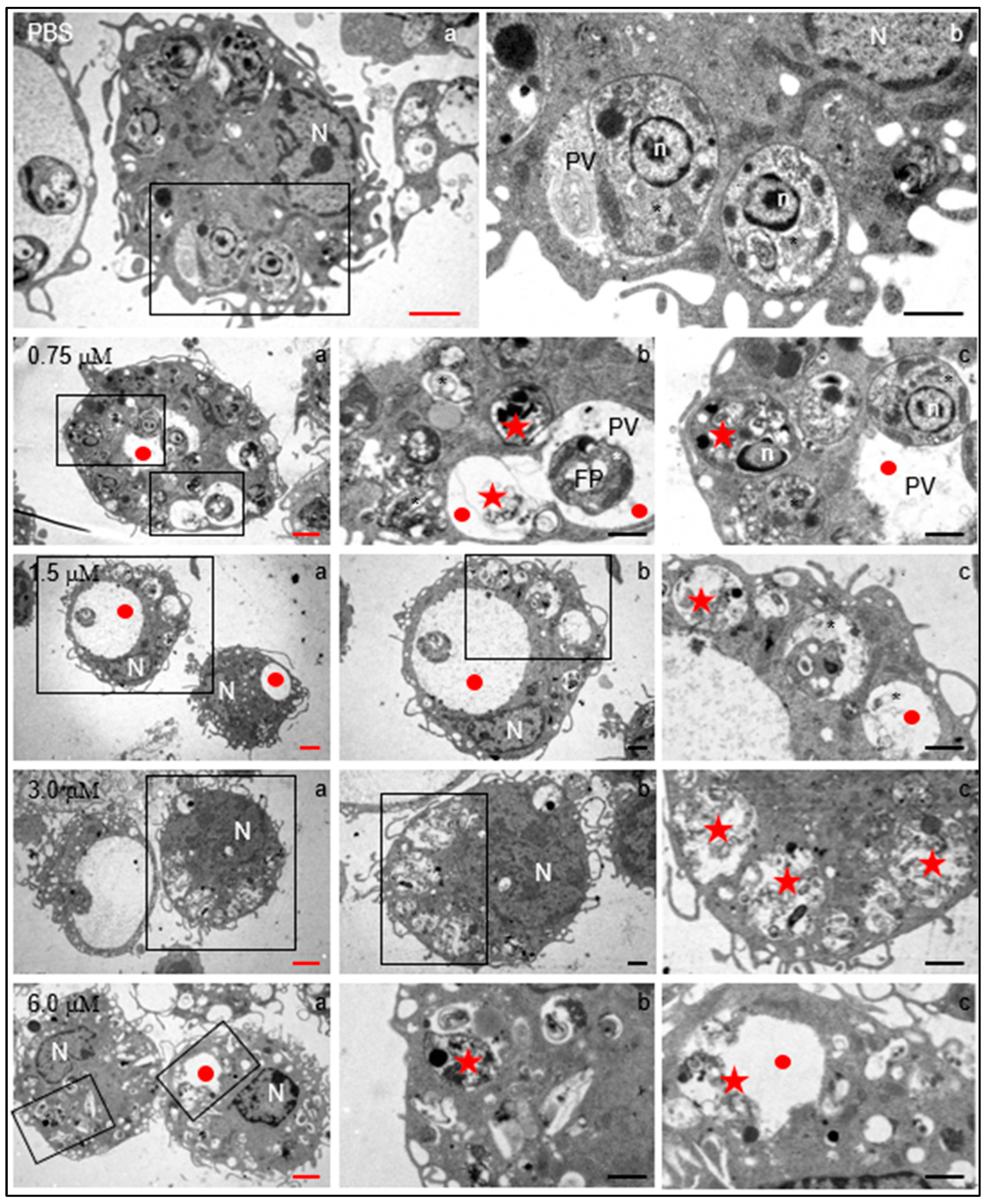 Biomedicines 12 02290 g005