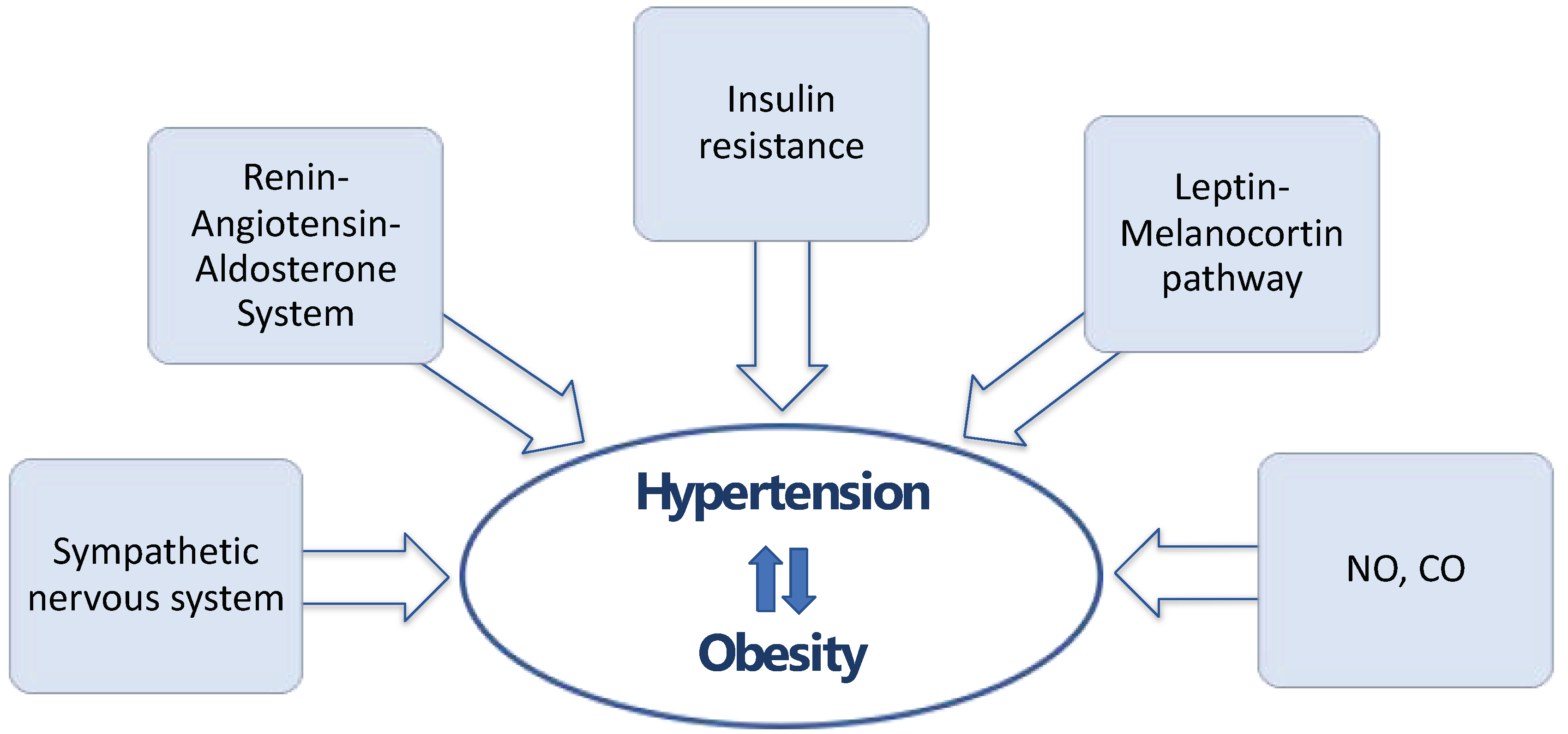 Biomedicines 12 02293 g001 Biomedicines 12 02293 g001