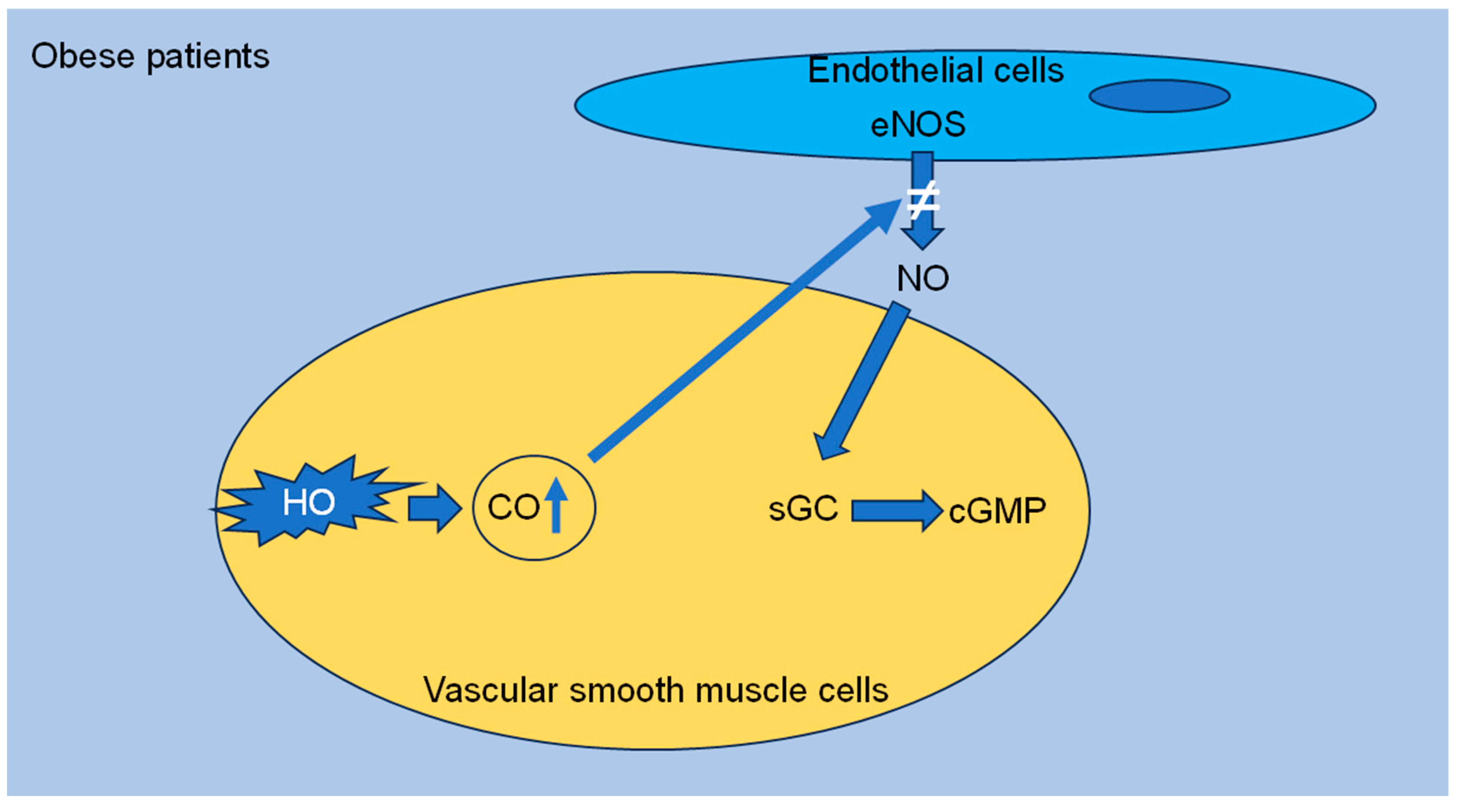 Biomedicines 12 02293 g002 Biomedicines 12 02293 g002