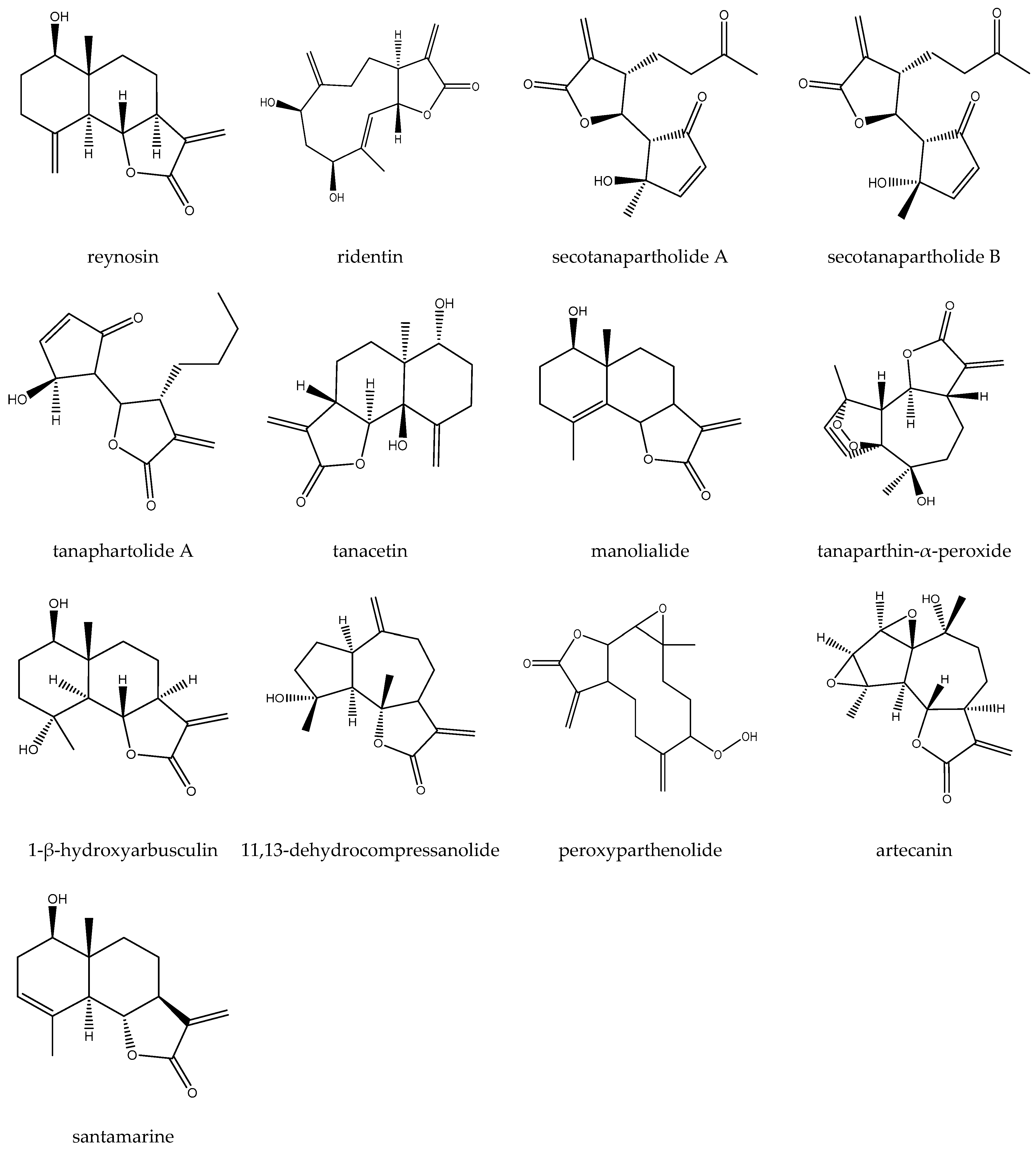 Biomedicines 12 02297 g001b
