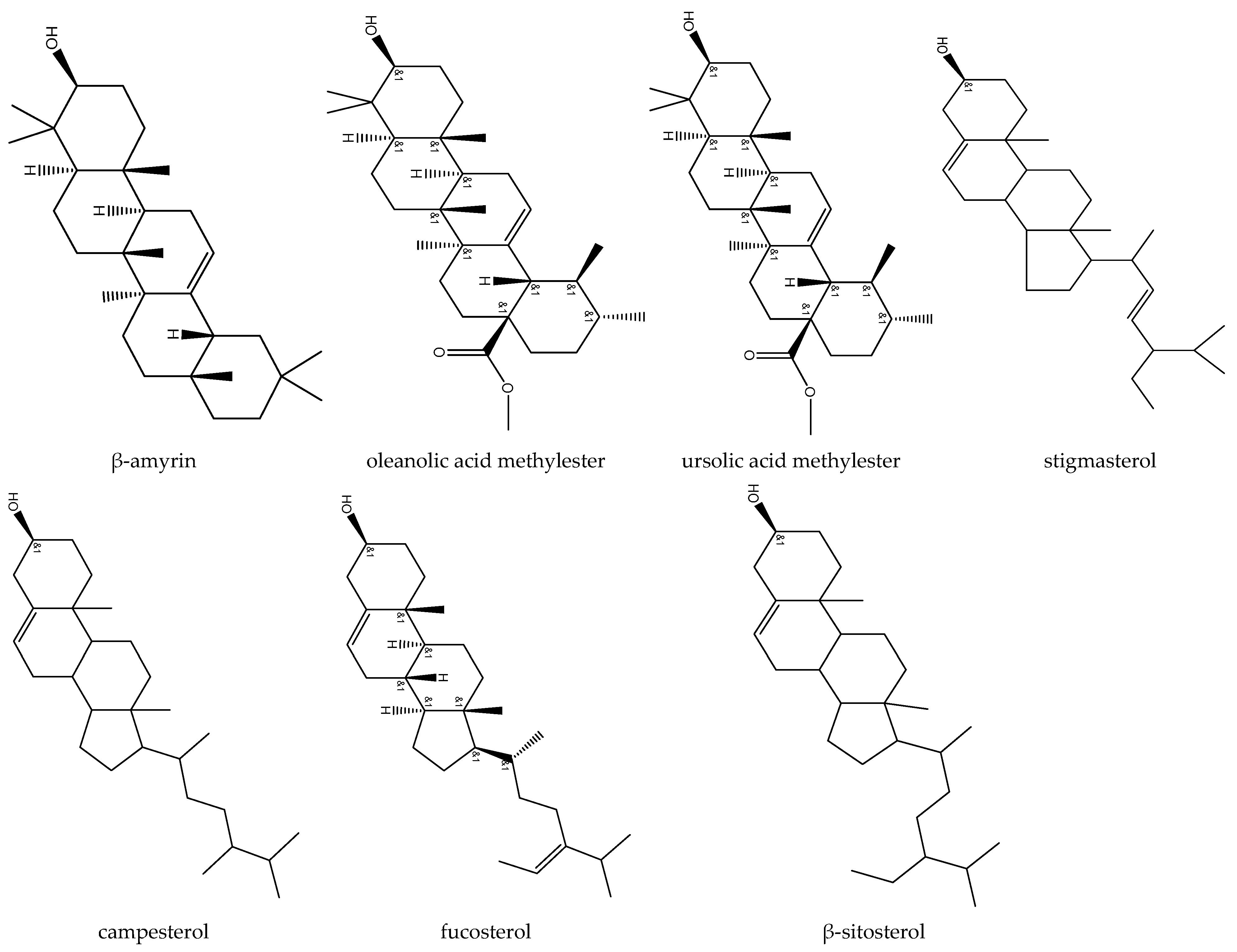 Biomedicines 12 02297 g003