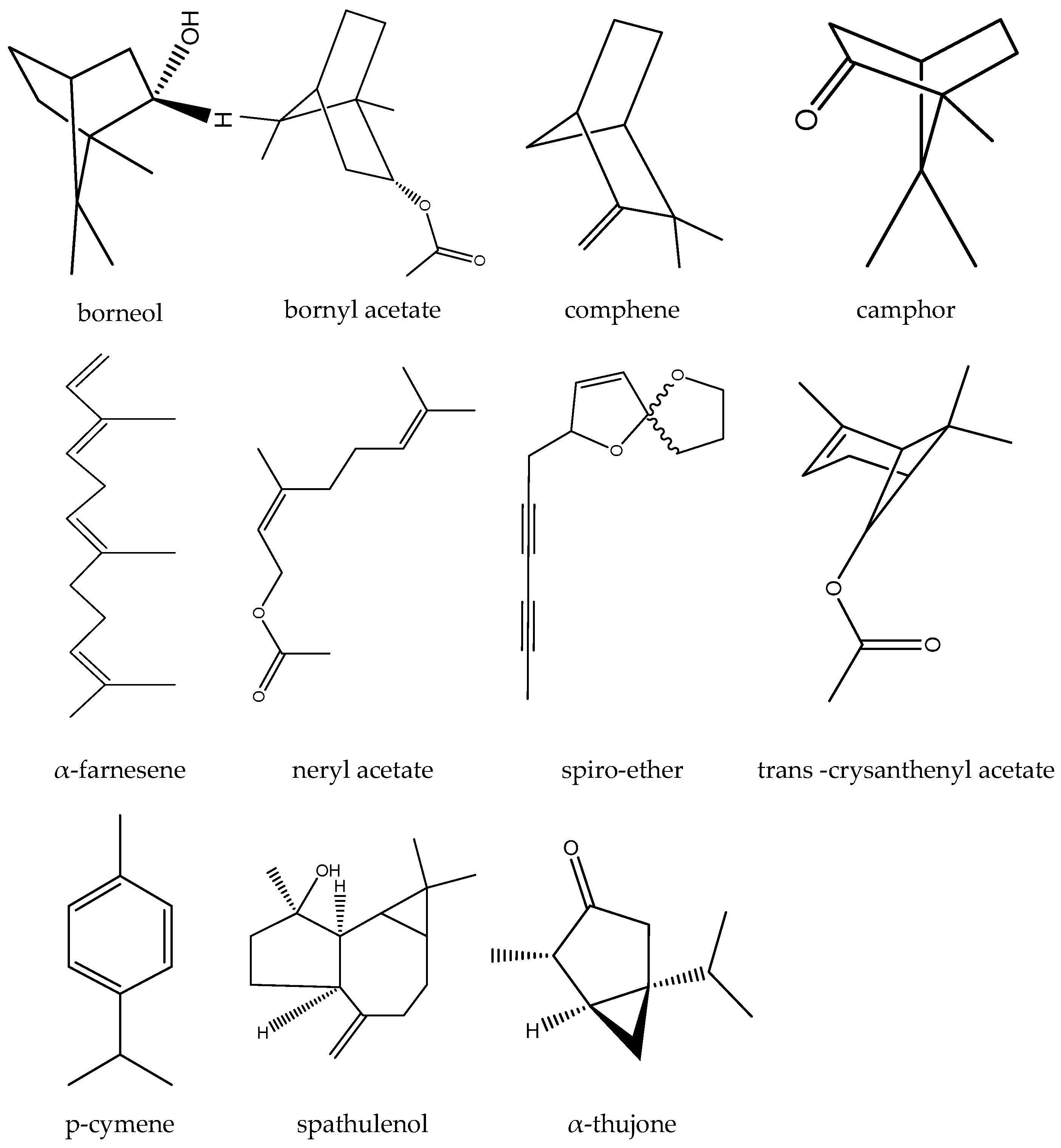 Biomedicines 12 02297 g004