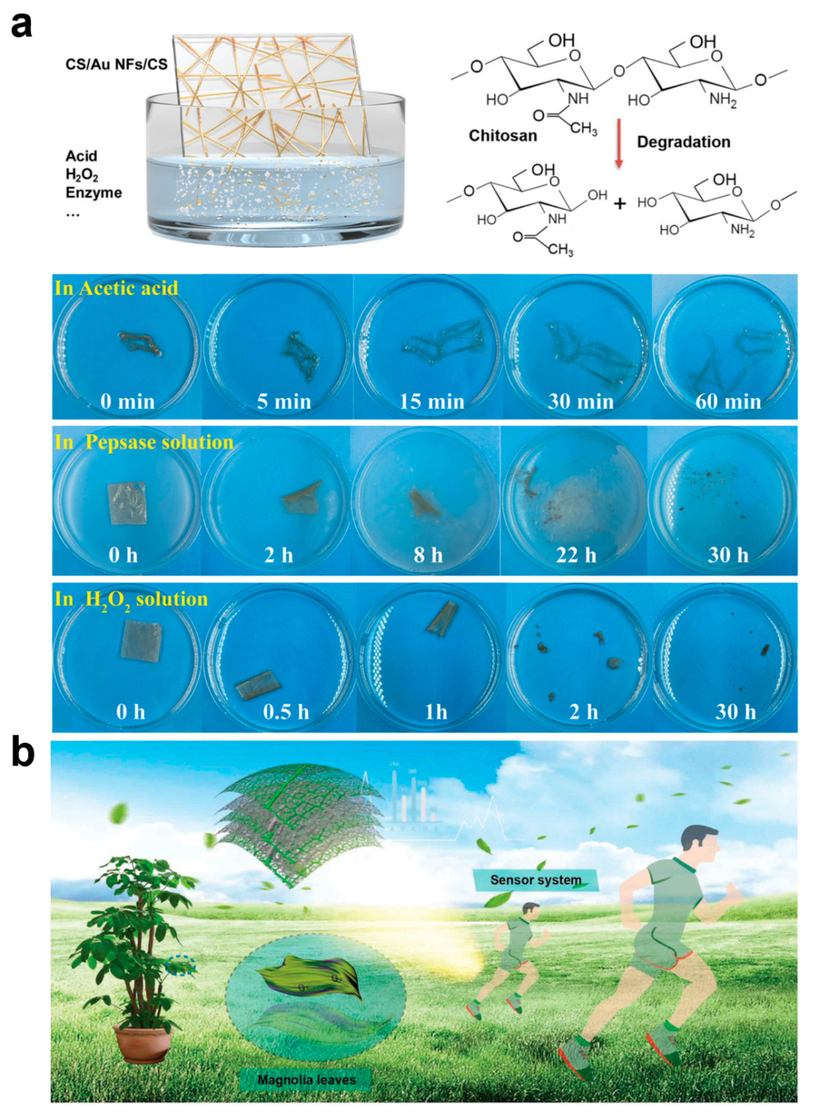 Biomedicines 12 02307 g004